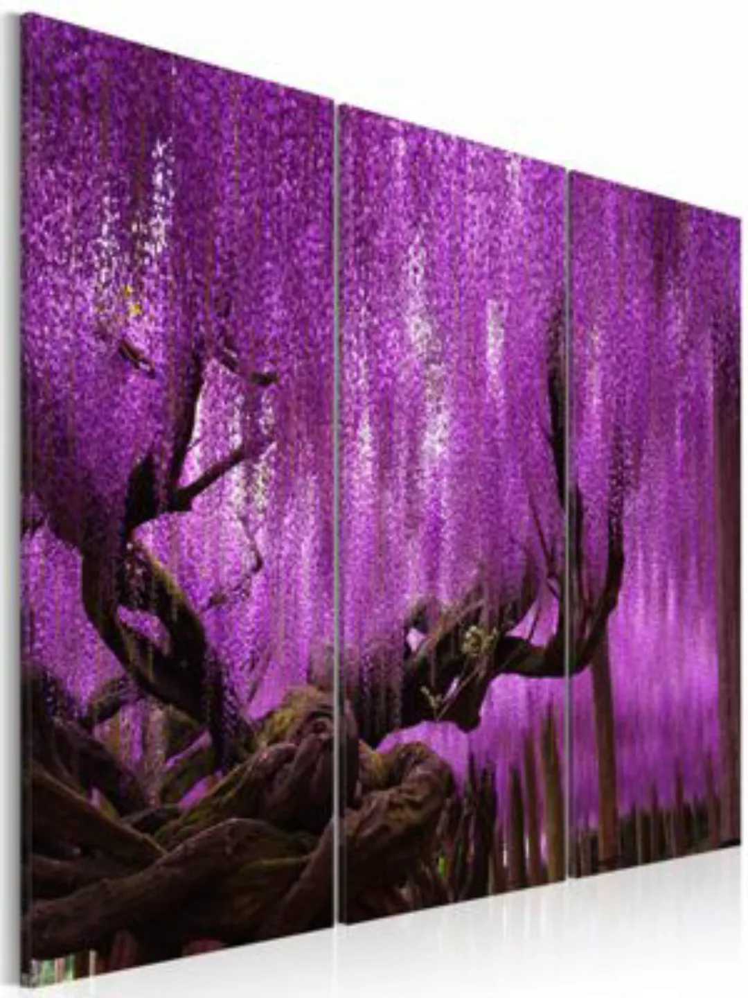 artgeist Wandbild Wisteria mehrfarbig Gr. 60 x 40 günstig online kaufen