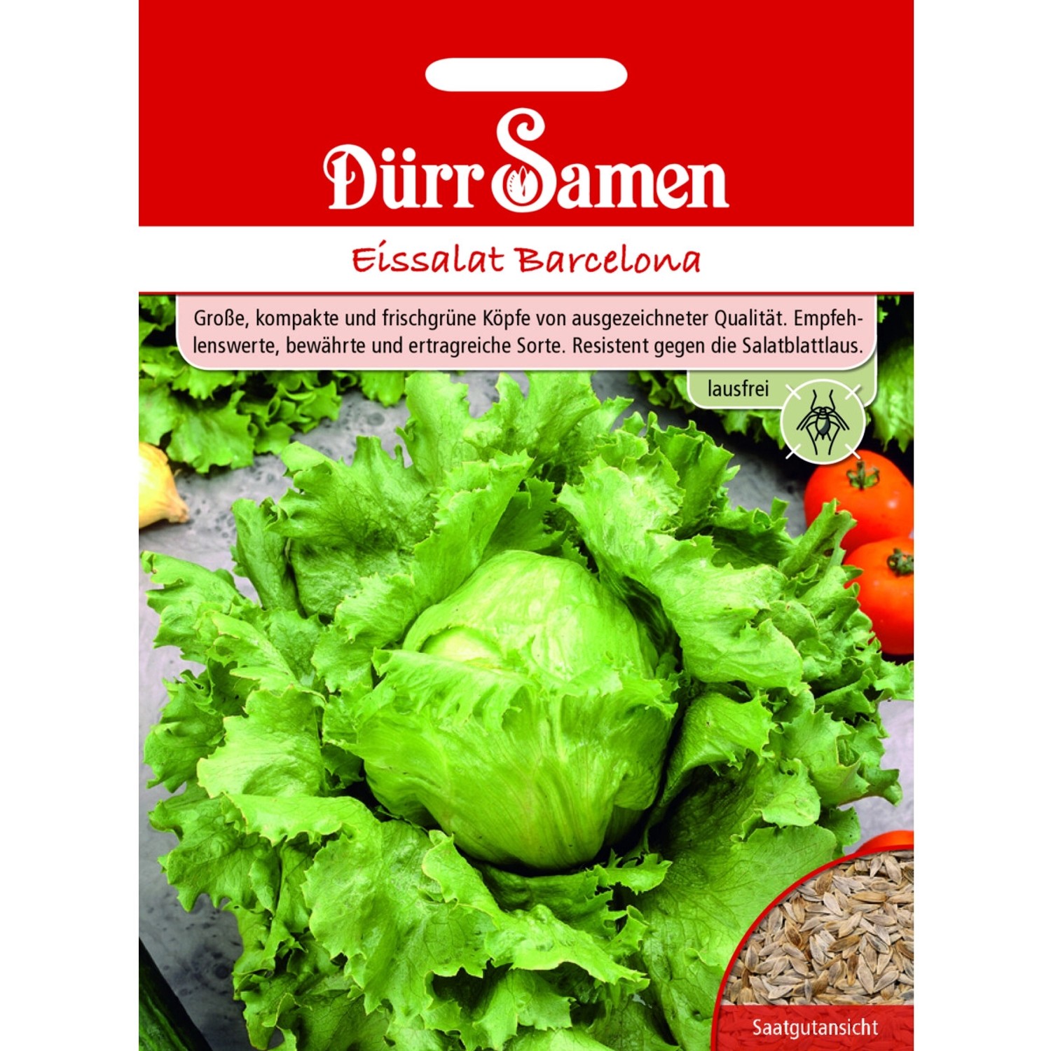 Dürr Samen Eissalat Barcelona Lausfrei Saatgut günstig online kaufen