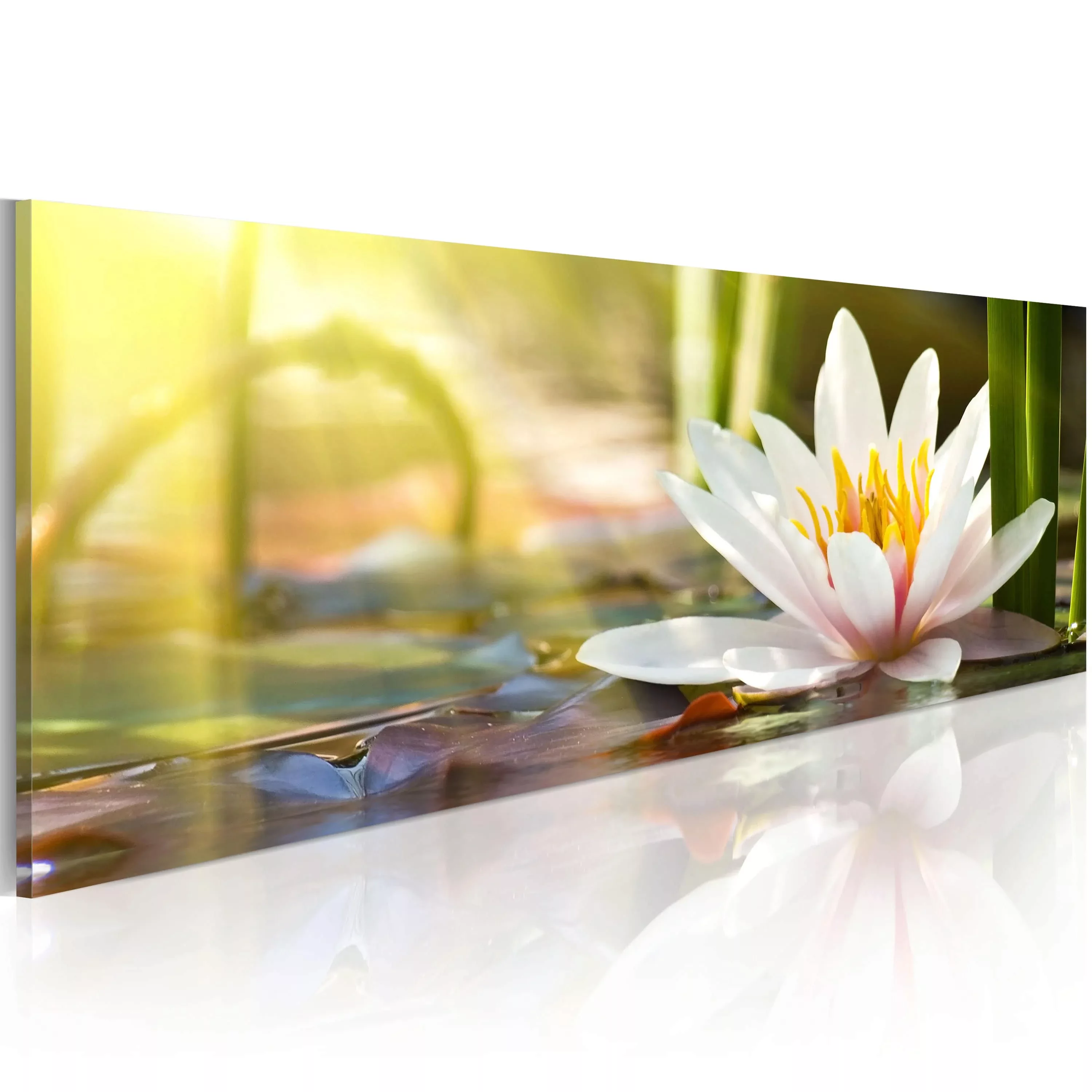 Wandbild - Lotus' Glow günstig online kaufen