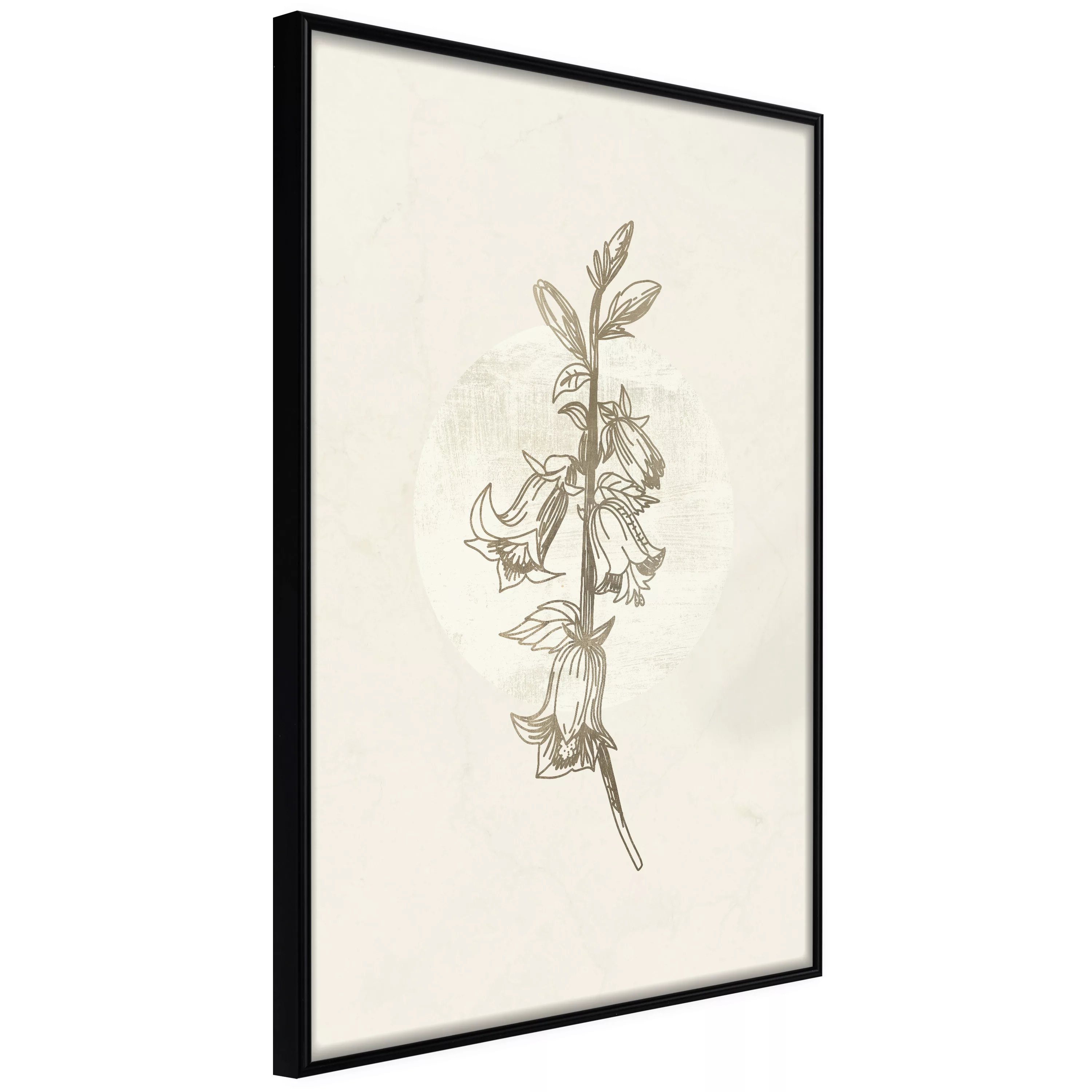 Poster - Beige Campanula günstig online kaufen