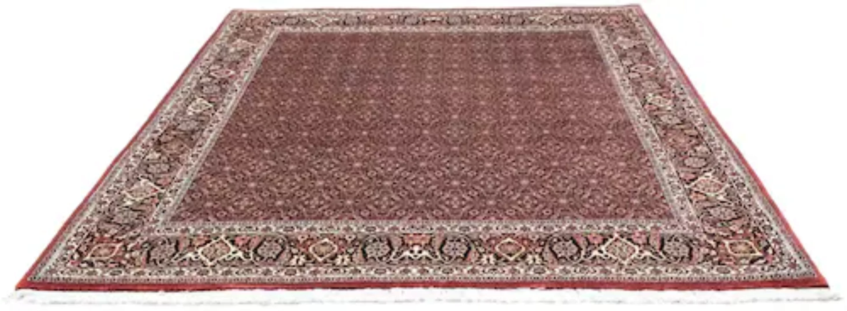 morgenland Wollteppich »Bidjar Teppich handgeknüpft rot«, quadratisch günstig online kaufen