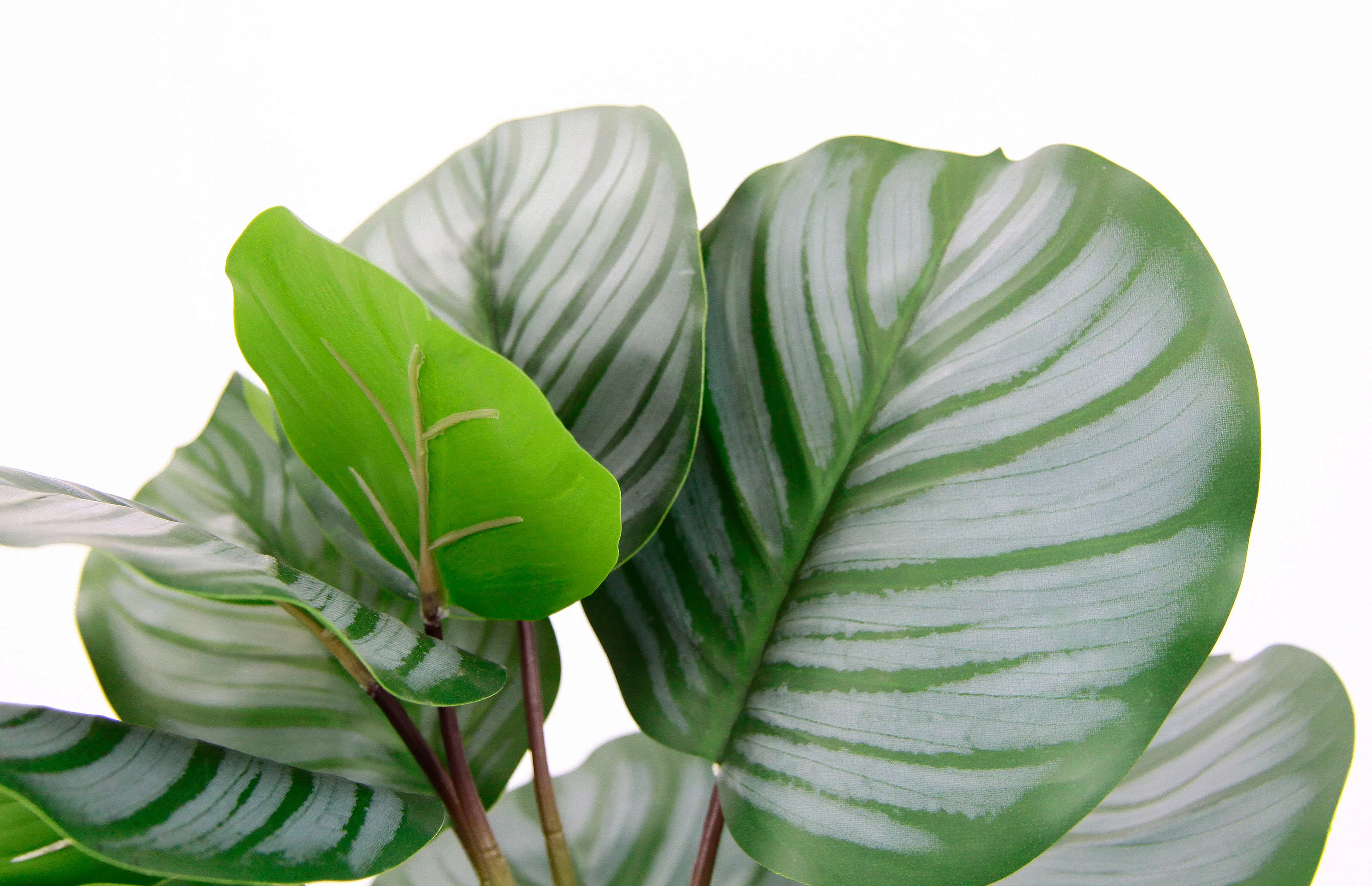 I.GE.A. Kunstpflanze "Maranthus" günstig online kaufen