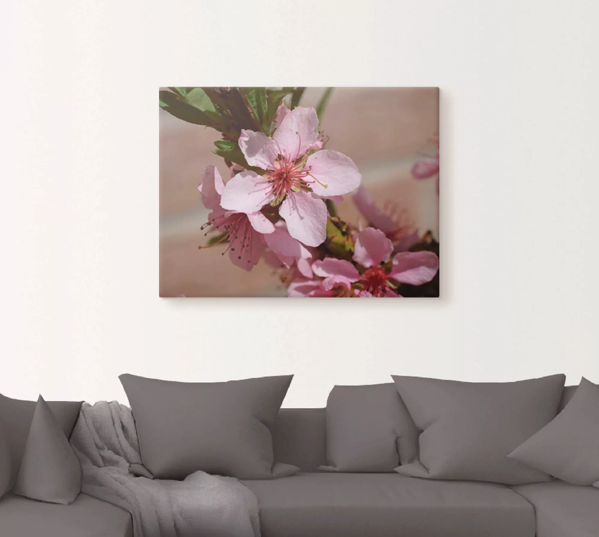 Artland Leinwandbild »Rosafarbene Pfirsichblüten«, Blumen, (1 St.), auf Kei günstig online kaufen