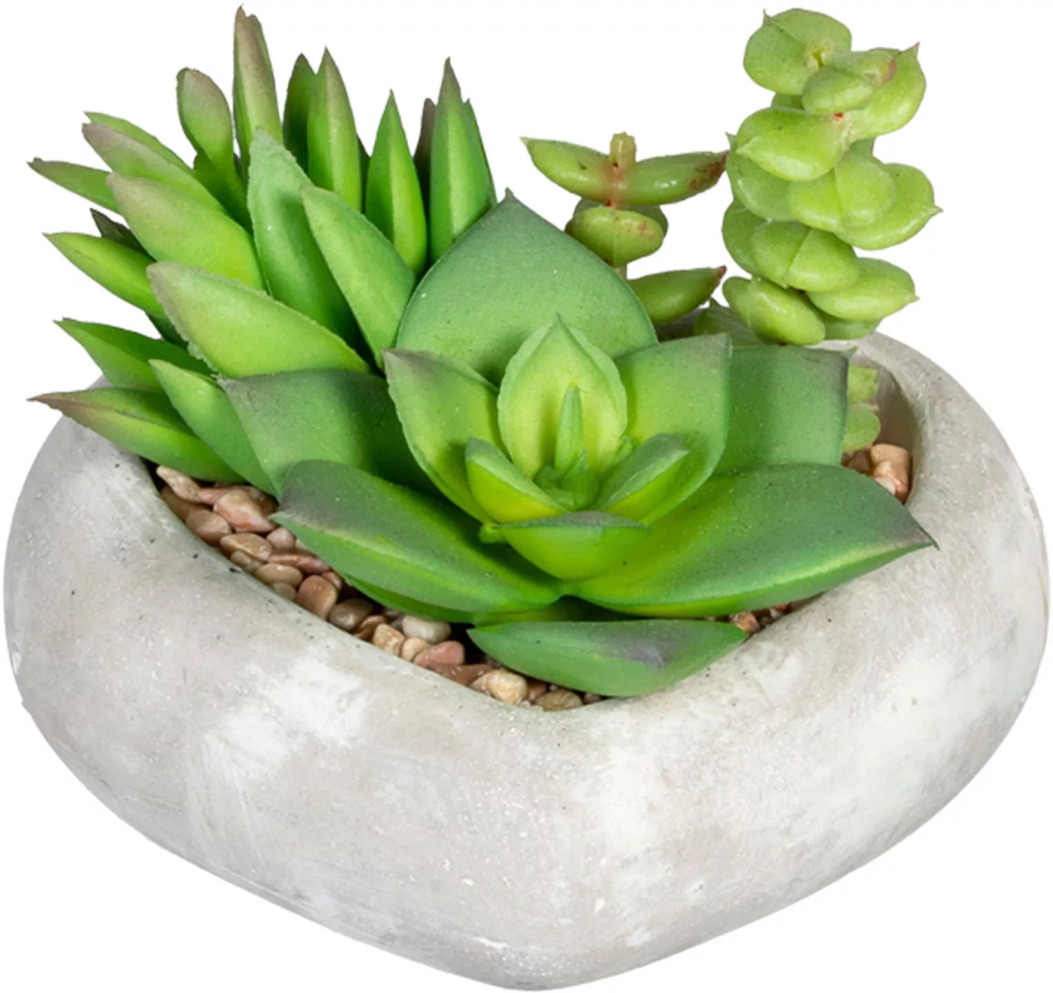 Creativ green Künstliche Zimmerpflanze »Sukkulentenarrangement«, in Zements günstig online kaufen