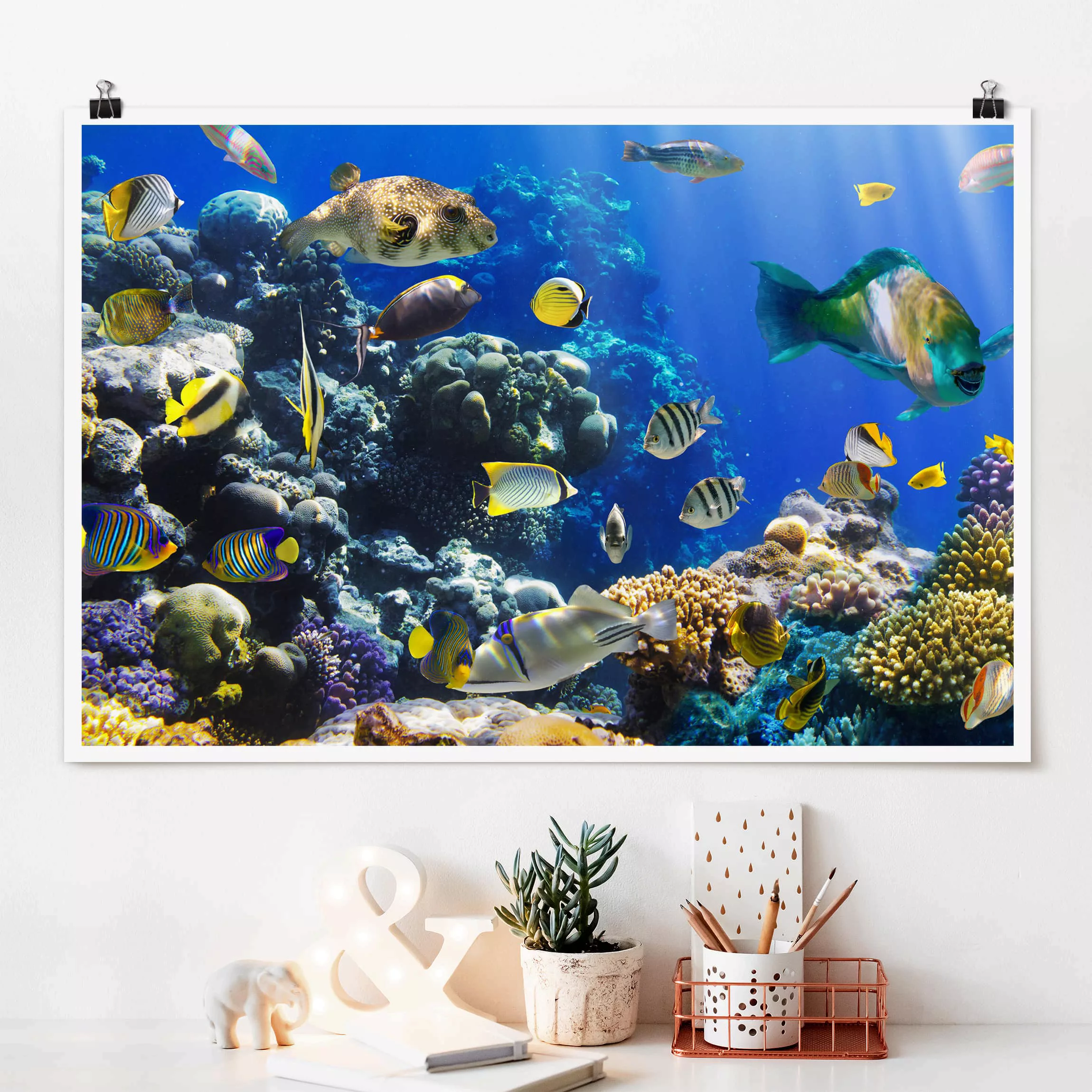 Poster Tiere - Querformat Underwater Reef günstig online kaufen