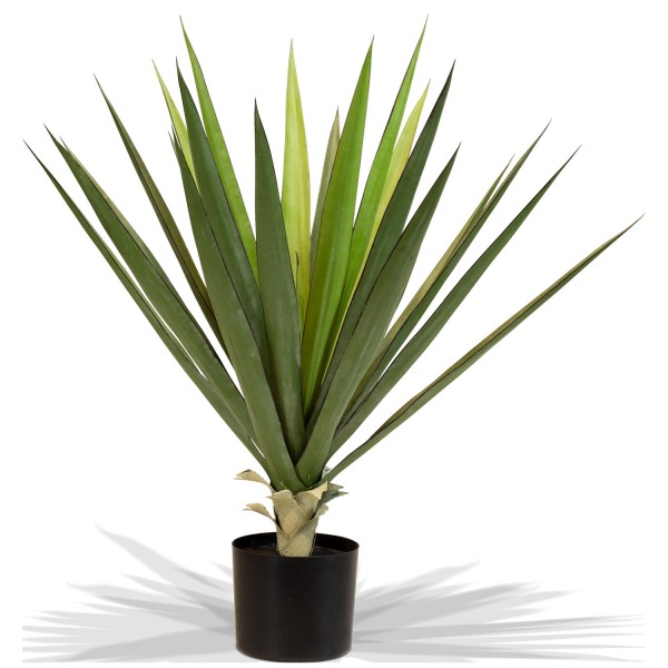 Sisal - Agave sisalana Kunstpflanze, 75cm günstig online kaufen