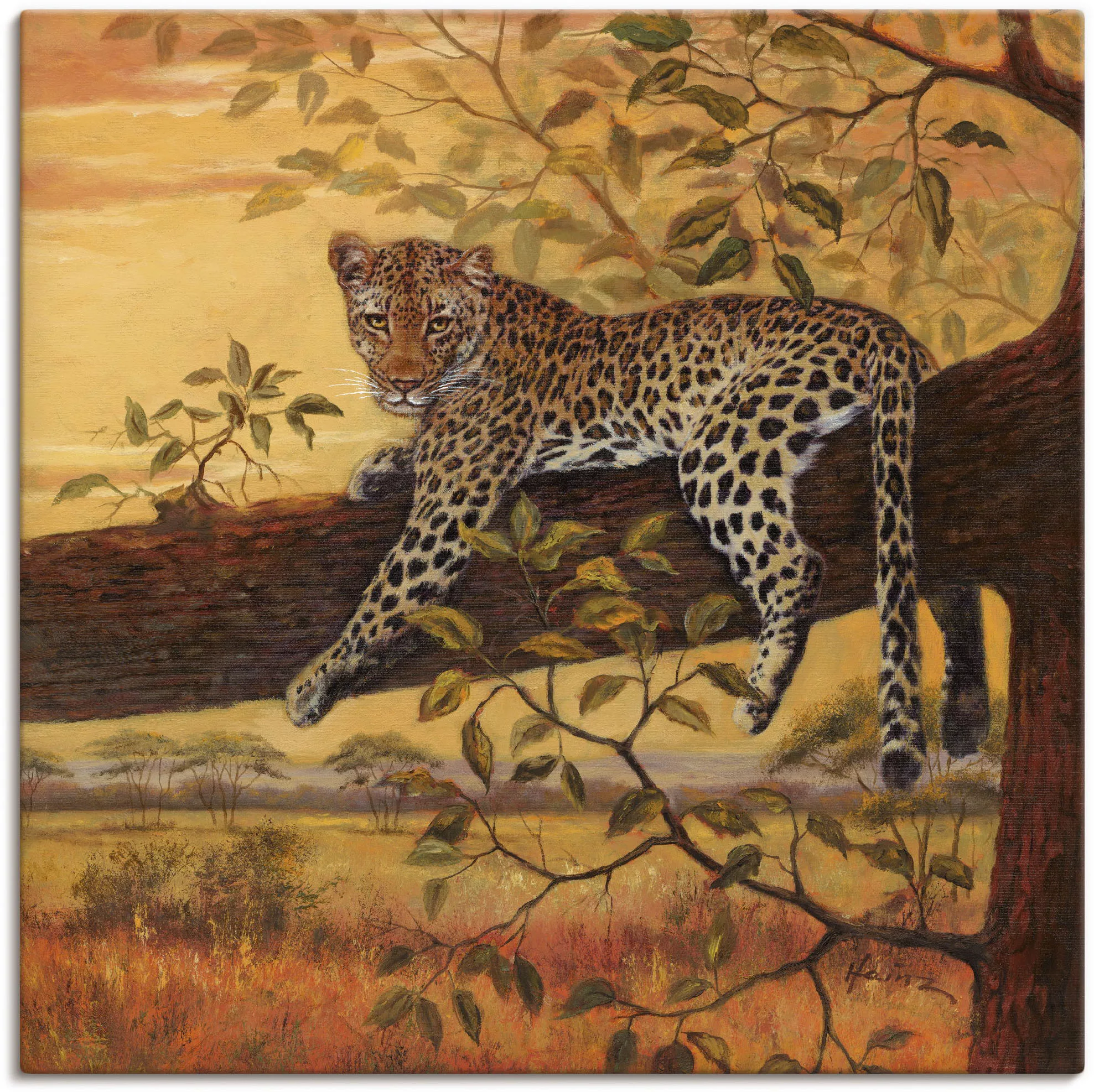 Artland Wandbild "Ruhender Leopard", Wildtiere, (1 St.), als Leinwandbild, günstig online kaufen