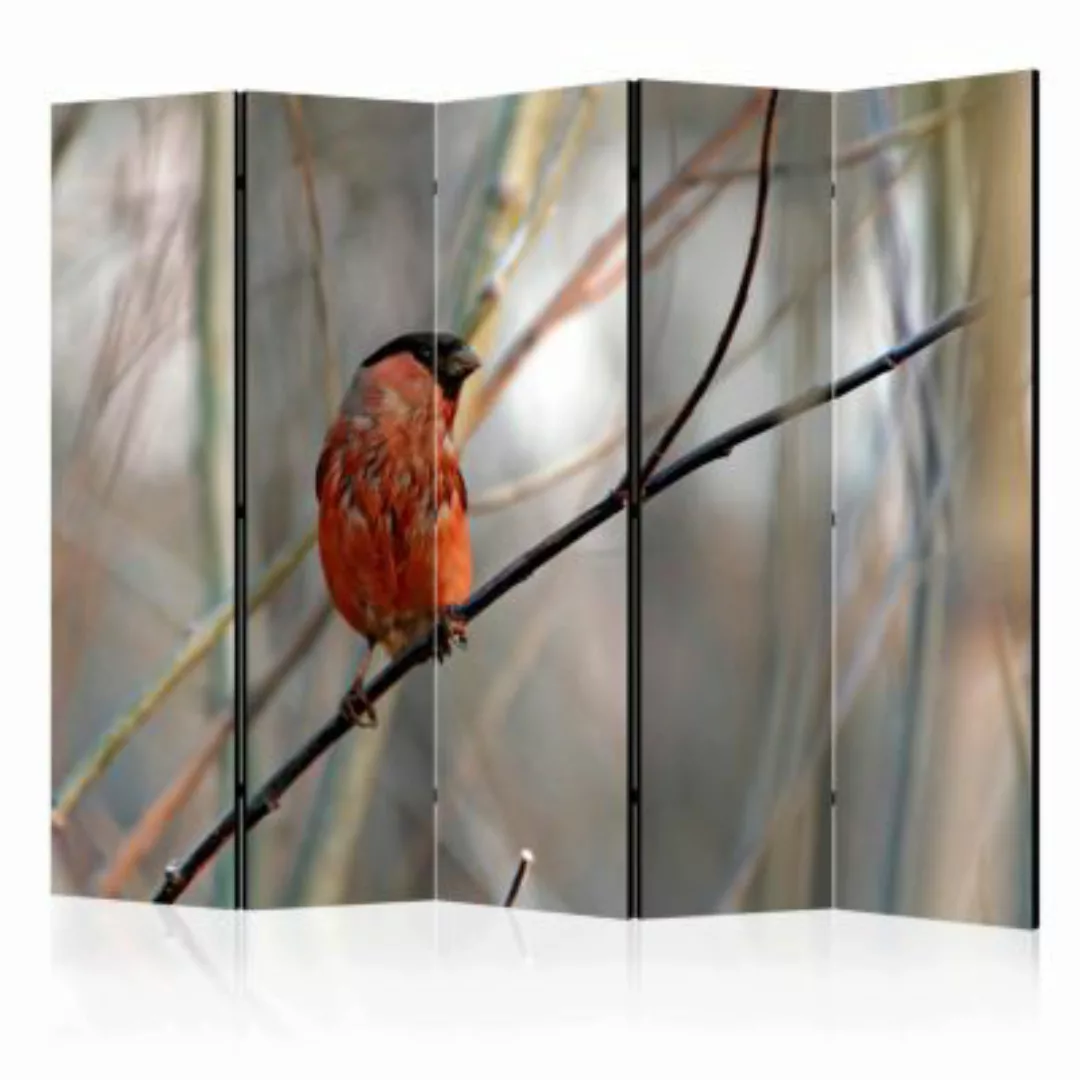 artgeist Paravent Bullfinch in the forest II [Room Dividers] mehrfarbig Gr. günstig online kaufen