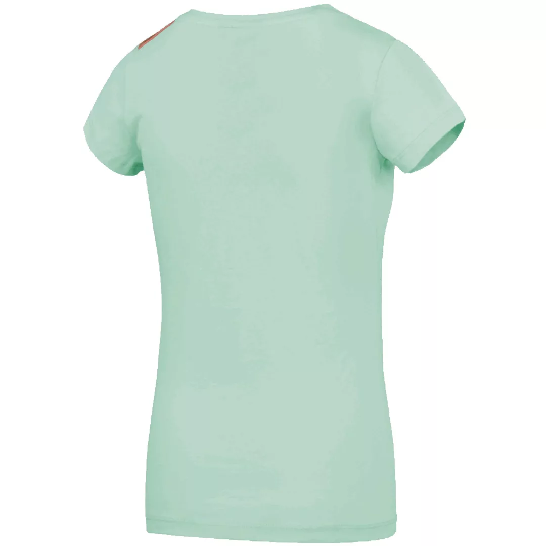 Picture Fall Almond Green günstig online kaufen