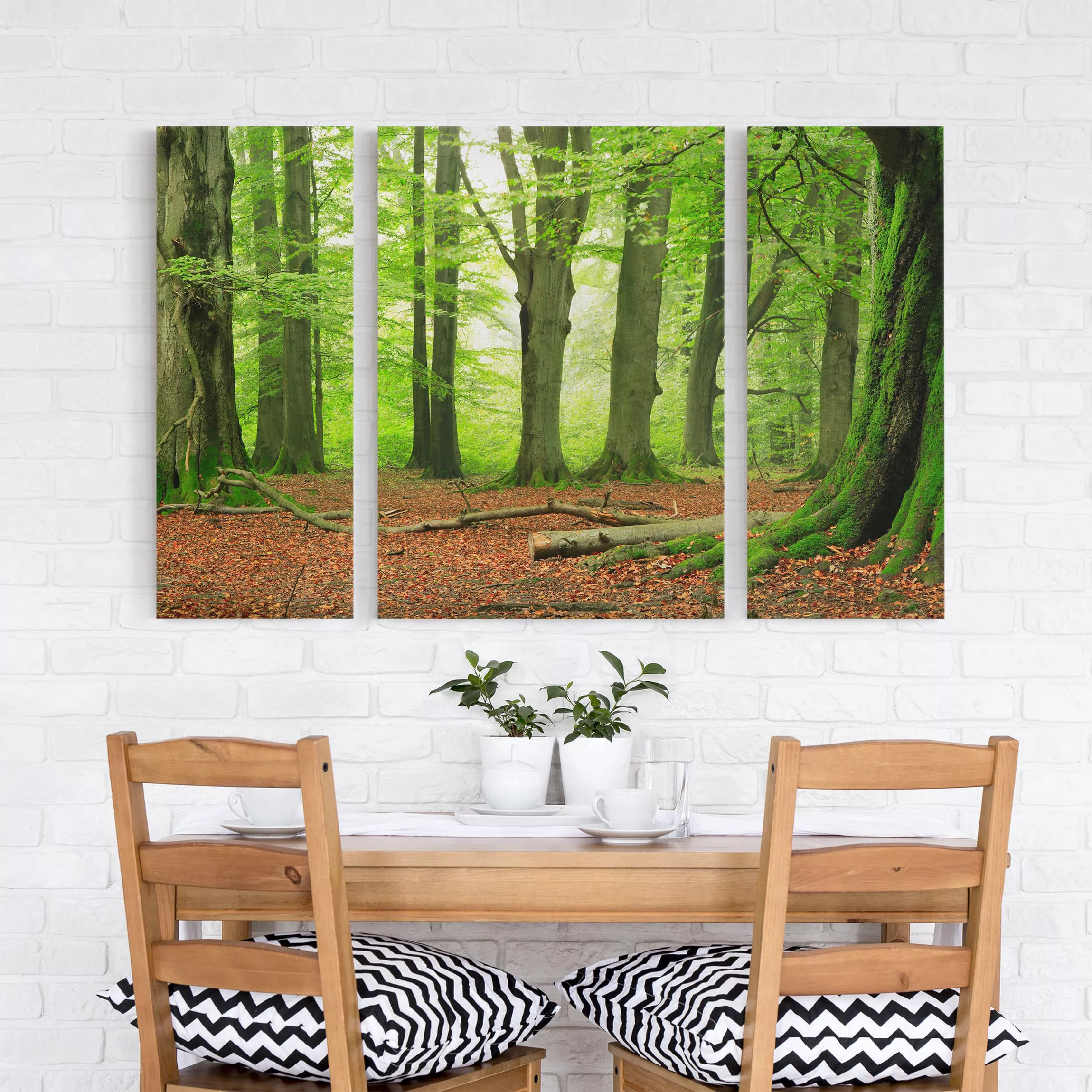 3-teiliges Leinwandbild Wald - Querformat Mighty Beech Trees günstig online kaufen