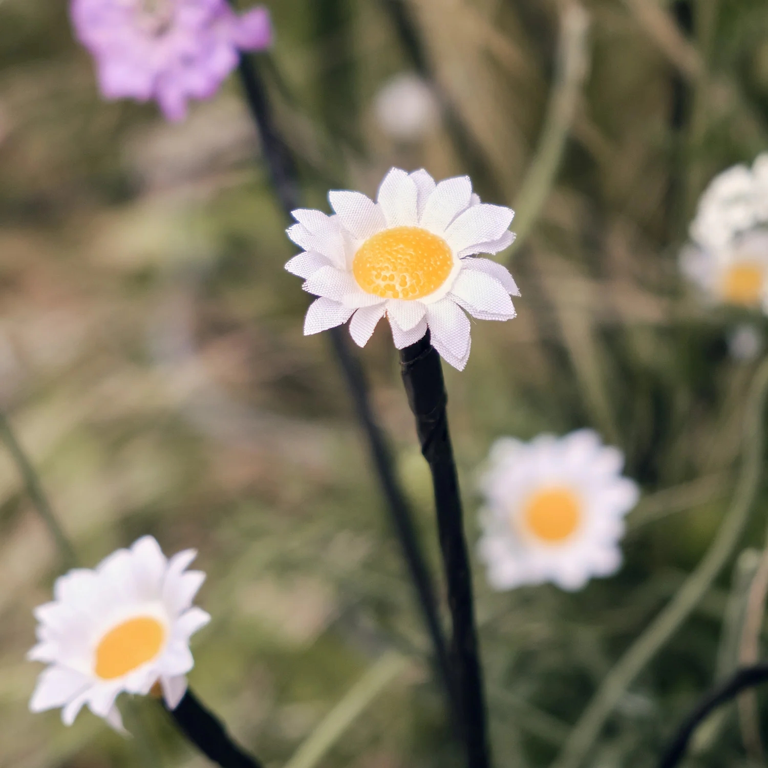 Solar Gänseblümchen Stableuchten 30er günstig online kaufen