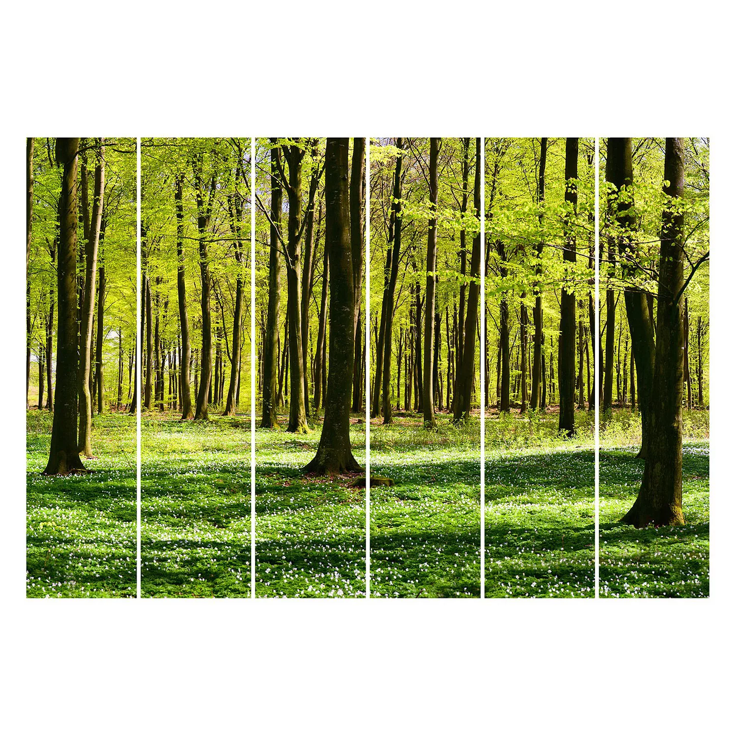 Schiebegardinen Set Natur & Landschaft Waldwiese günstig online kaufen