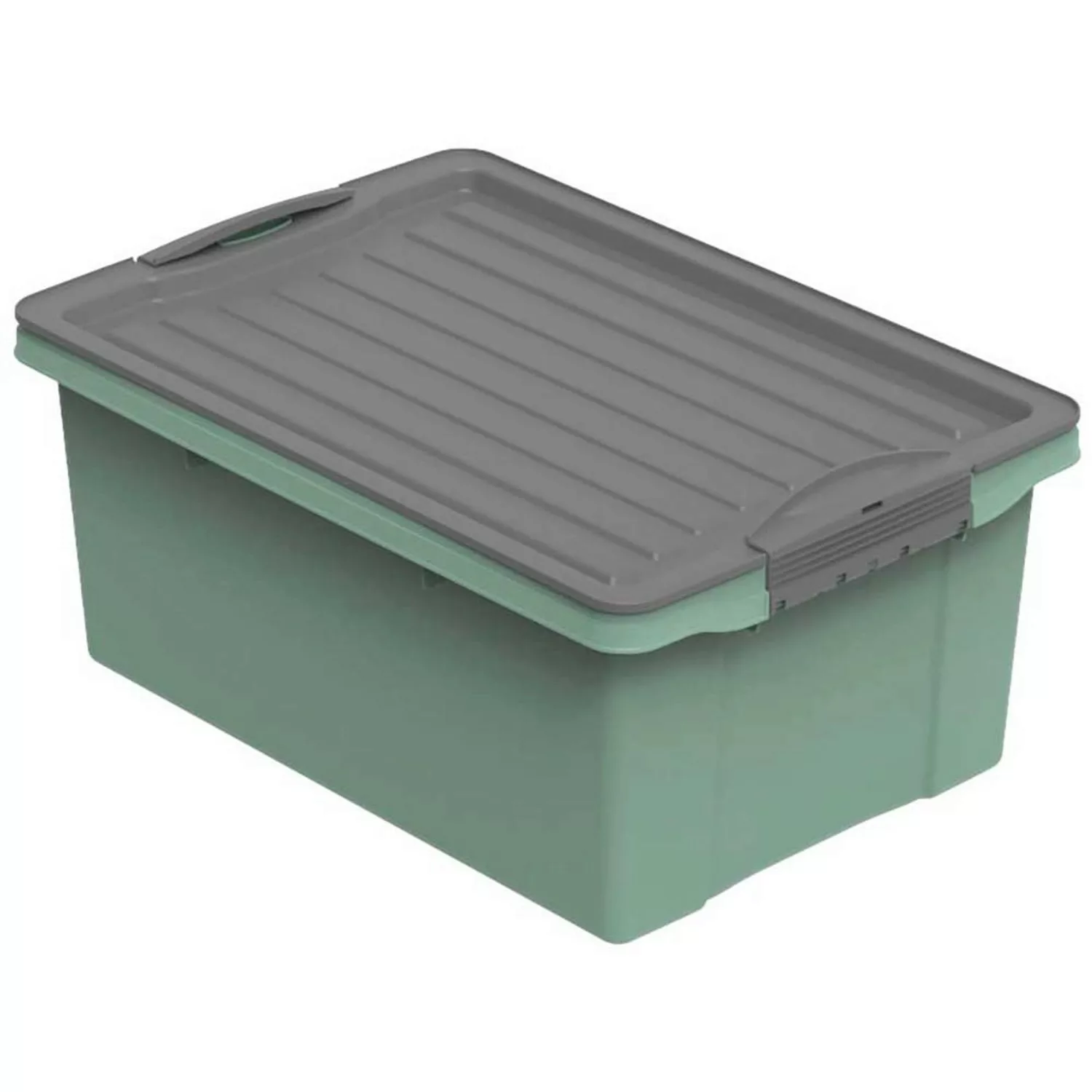 Rotho Aufbewahrungsbox mit Deckel - grün - 27,5 cm - 18 cm - Aufbewahrung > günstig online kaufen