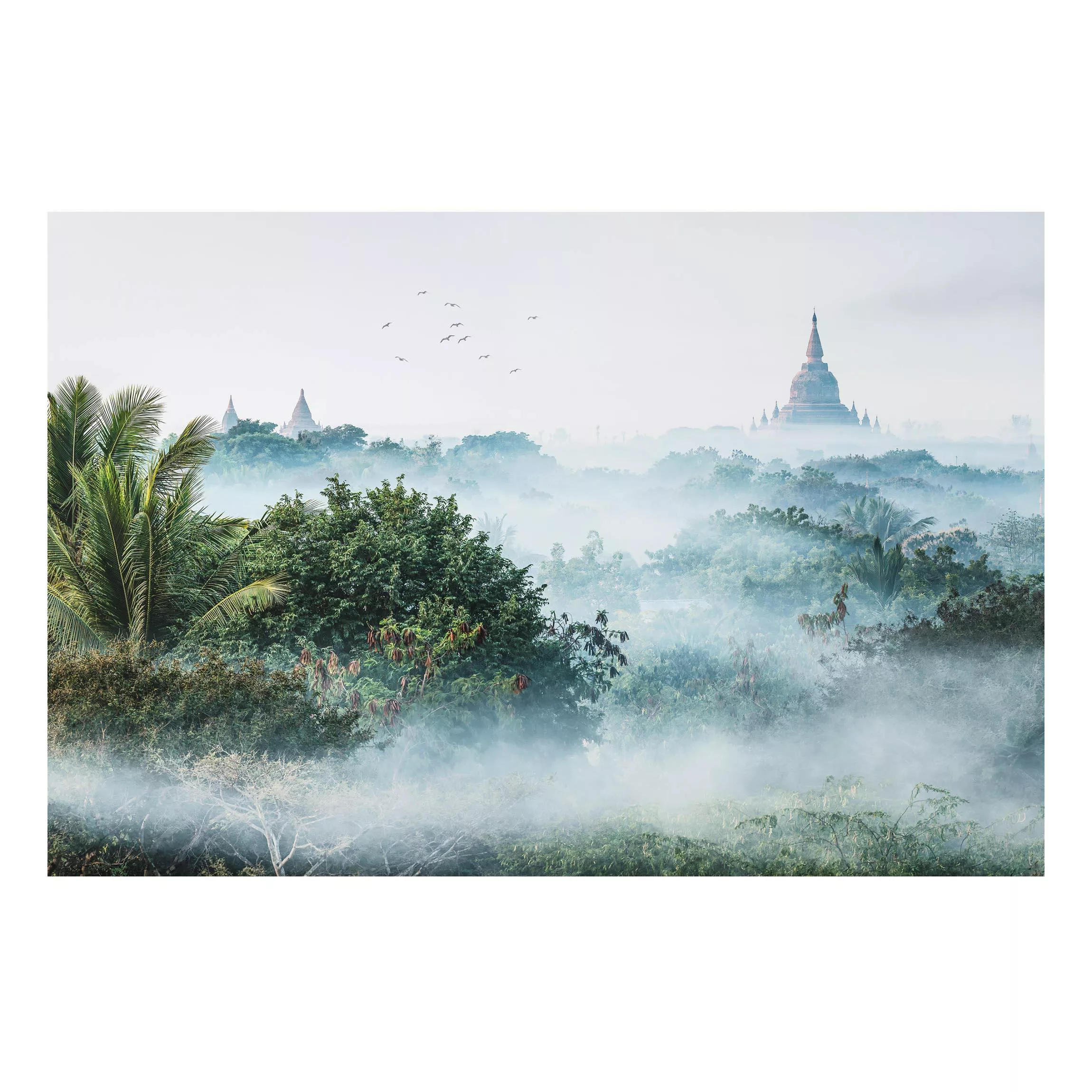 Alu-Dibond Bild Morgennebel über dem Dschungel von Bagan günstig online kaufen