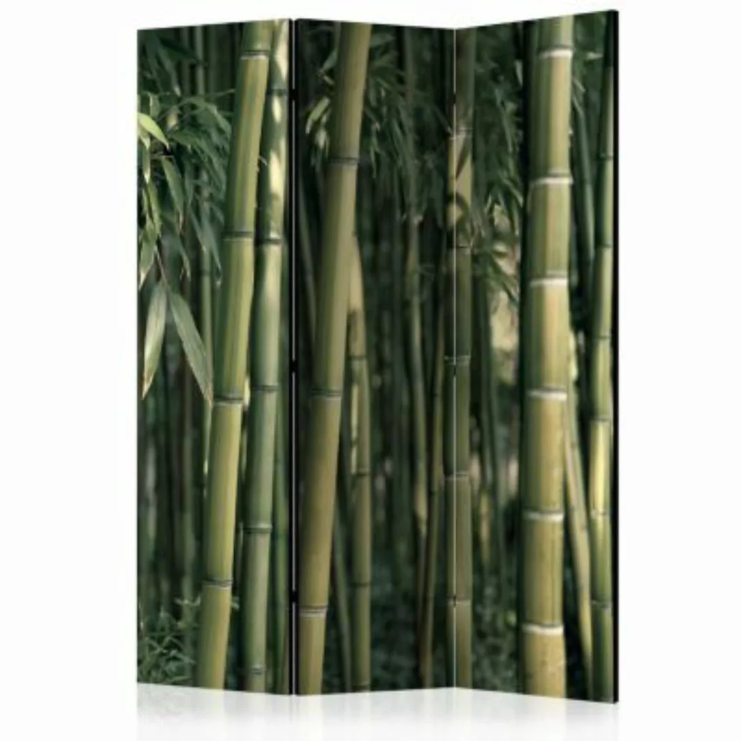 artgeist Paravent Bamboo Exotic [Room Dividers] gelb-kombi Gr. 135 x 172 günstig online kaufen