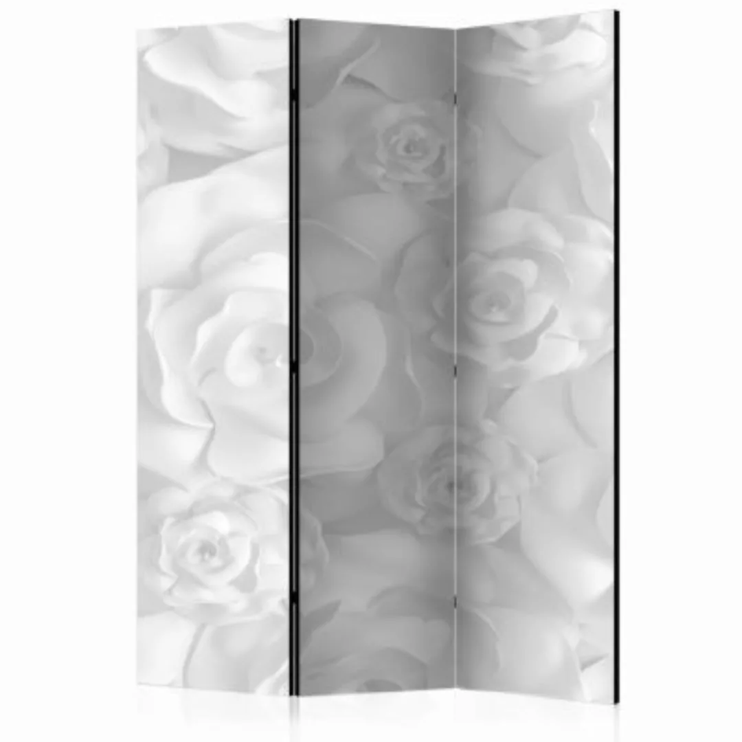 artgeist Paravent Plaster Flowers [Room Dividers] schwarz/weiß Gr. 135 x 17 günstig online kaufen