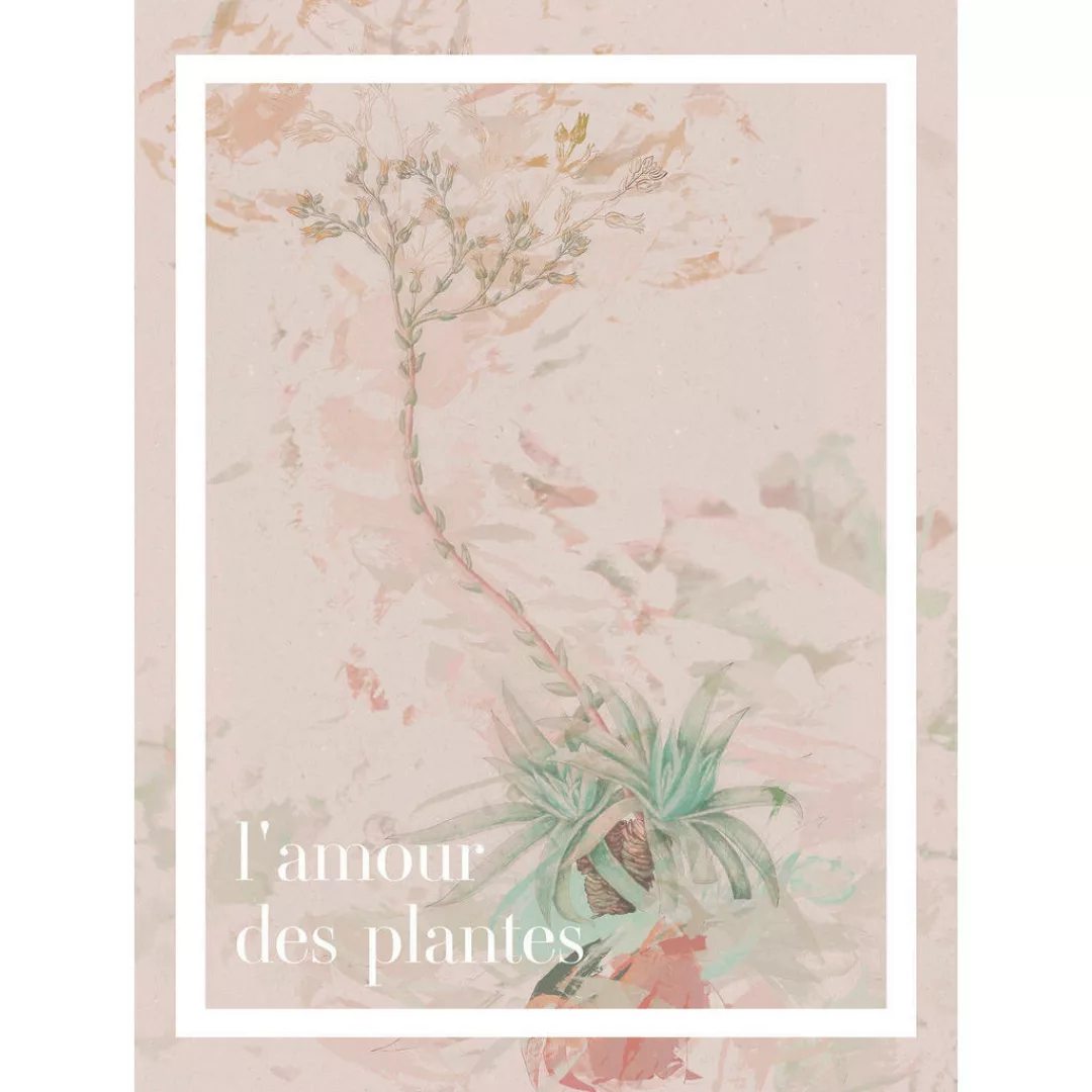 Komar Poster L'amour des plantes Spruch B/L: ca. 30x40 cm günstig online kaufen