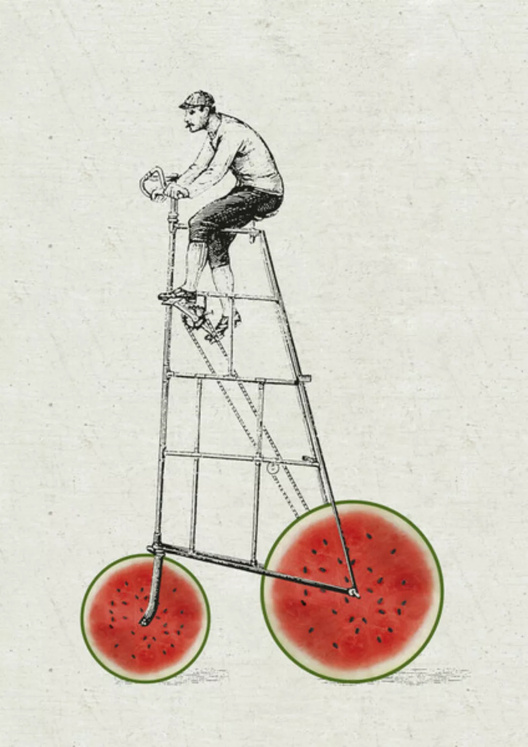 Poster / Leinwandbild - Melonenradler günstig online kaufen