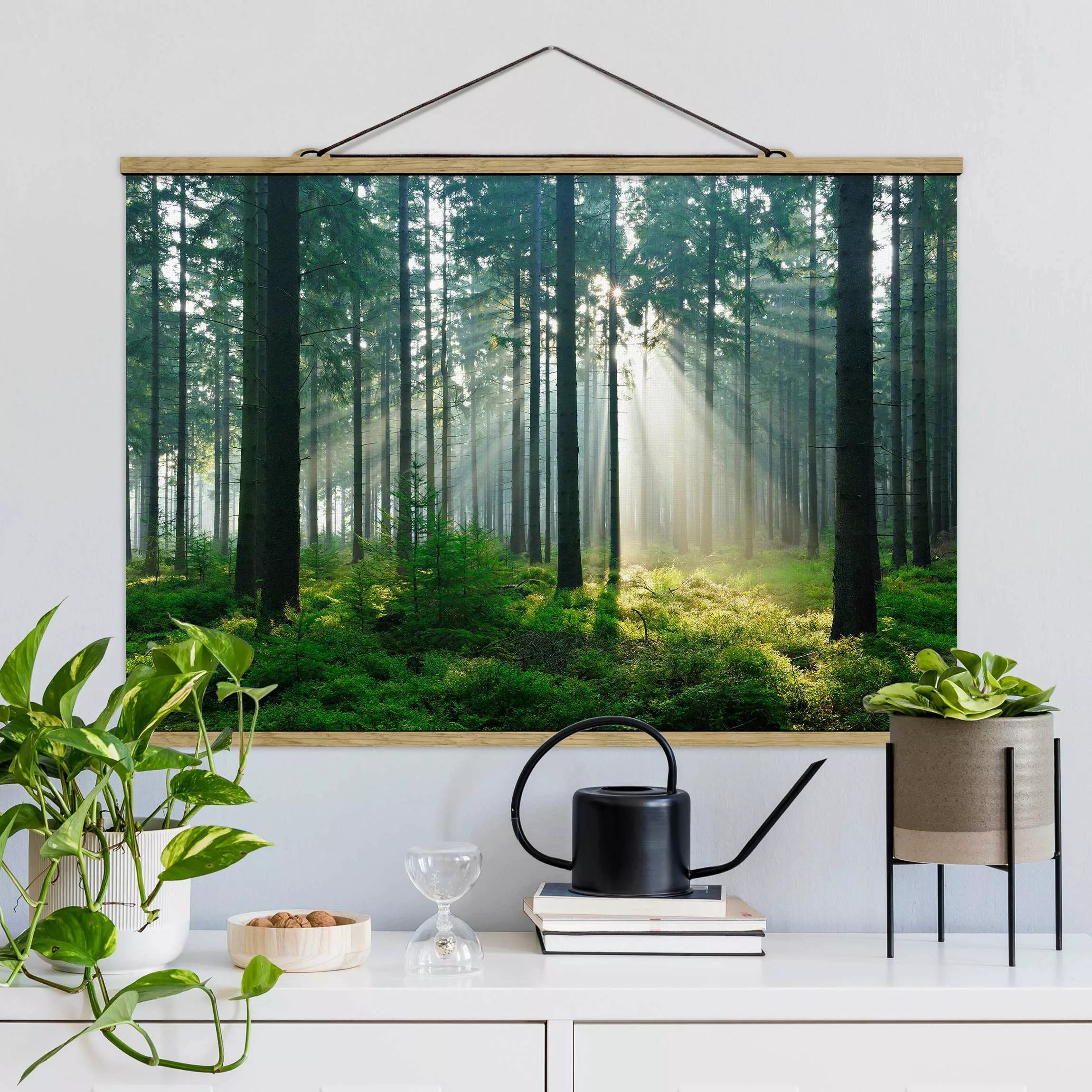 Stoffbild Wald mit Posterleisten - Querformat Enlightened Forest günstig online kaufen