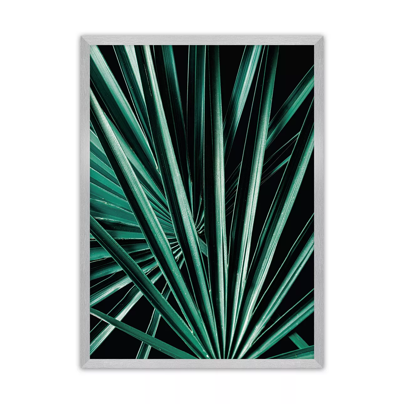Poster Dark Palm Tree, 50 x 70 cm, Rahmen wählen: silber günstig online kaufen