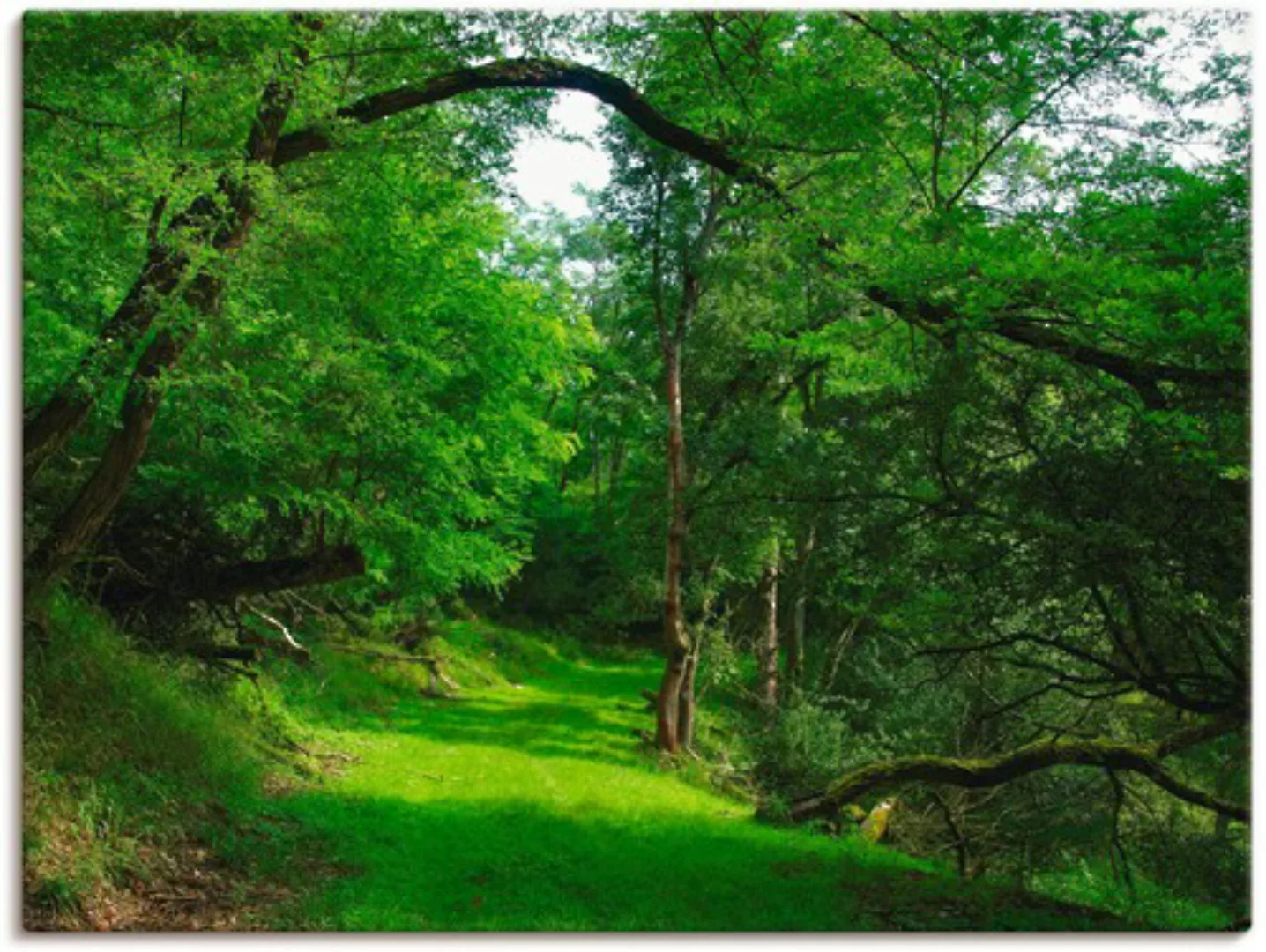 Artland Wandbild »Grüner Weg durch den Wald«, Wald, (1 St.), als Leinwandbi günstig online kaufen