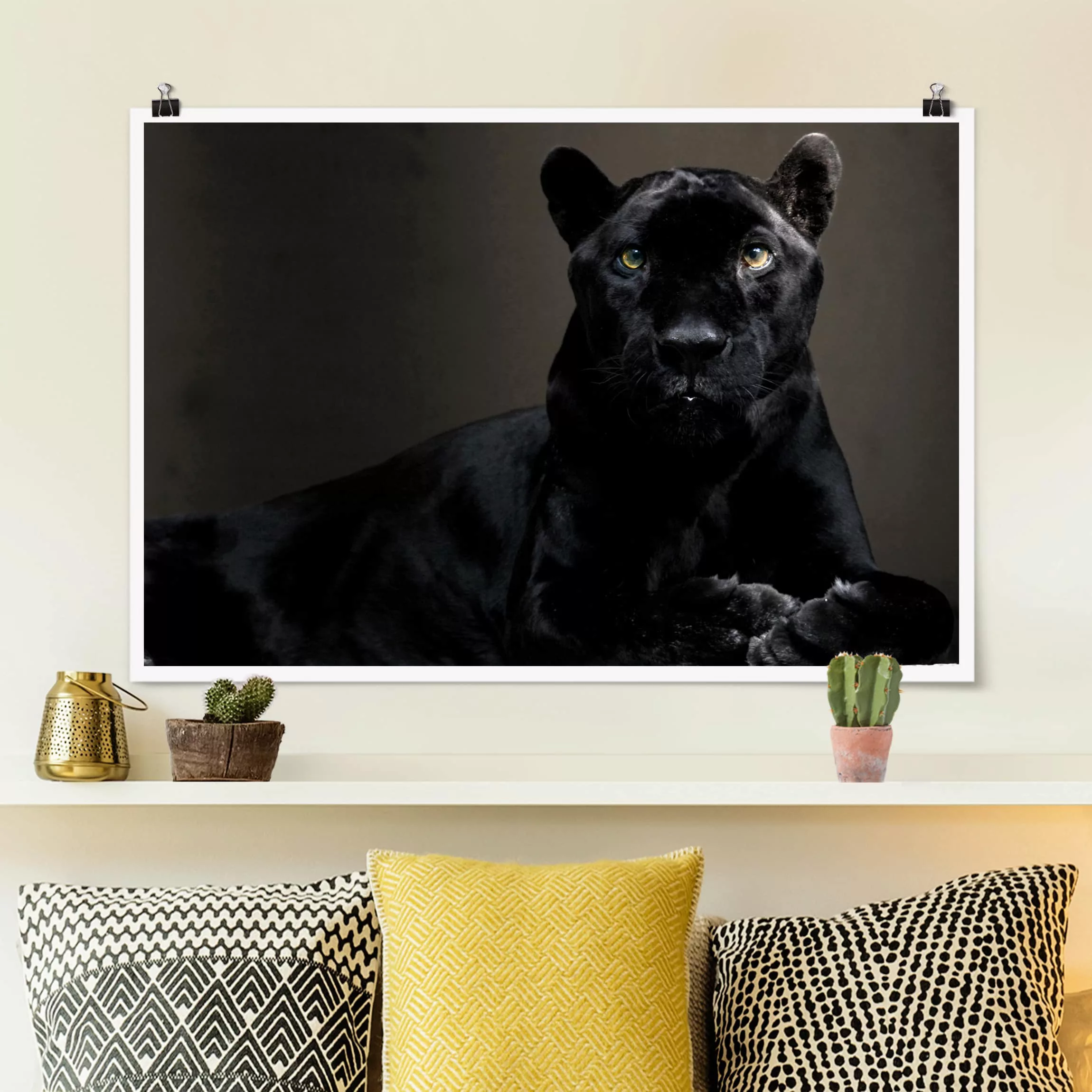 Poster Tiere - Querformat Black Puma günstig online kaufen