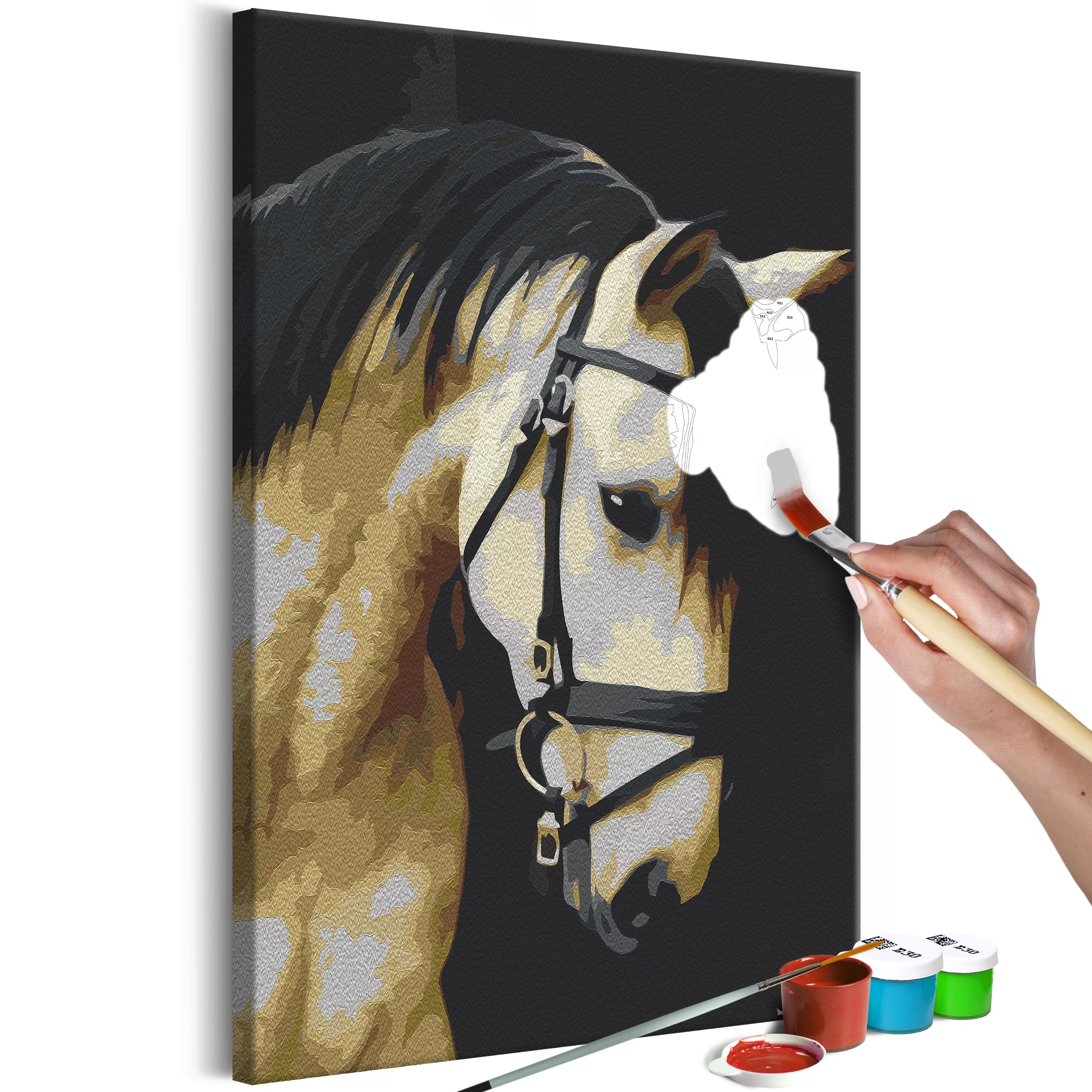 Malen Nach Zahlen - Horse Portrait günstig online kaufen