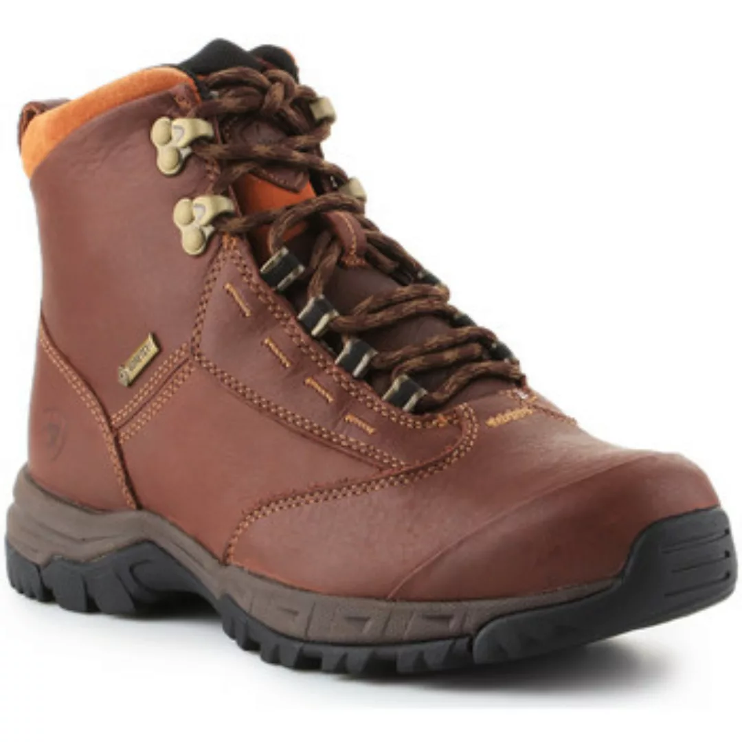 Ariat  Damenschuhe Trekkingschuhe  Berwick lace GTX Insulated 10016298 günstig online kaufen