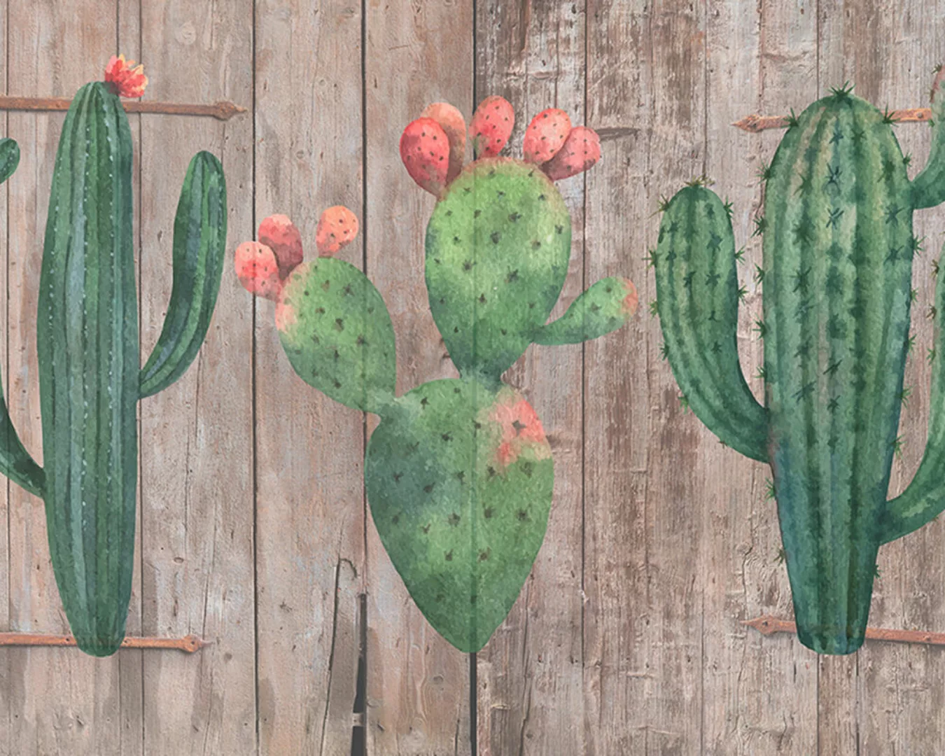 Fototapete "Cactus 2" 4,00x2,70 m / Glattvlies Perlmutt günstig online kaufen
