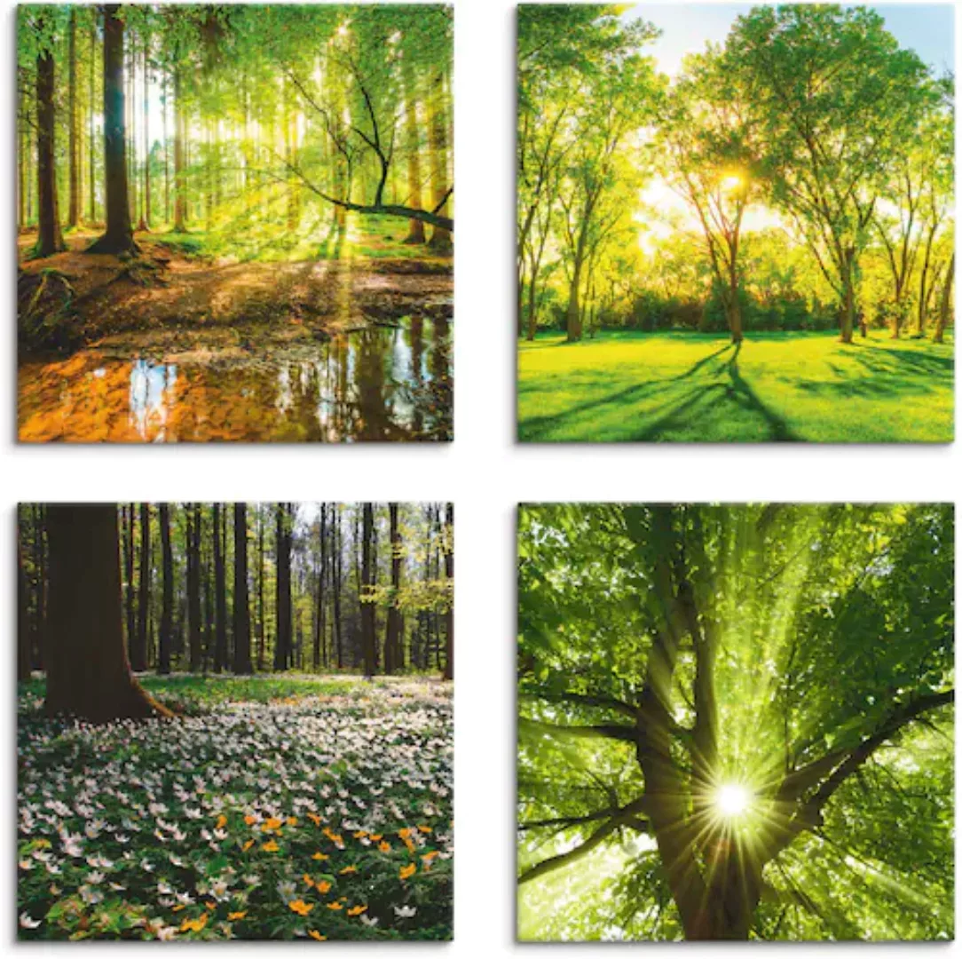 Artland Leinwandbild »Wald Bach Frühling Windrosen Sonne Baum«, Wald, (4 St günstig online kaufen