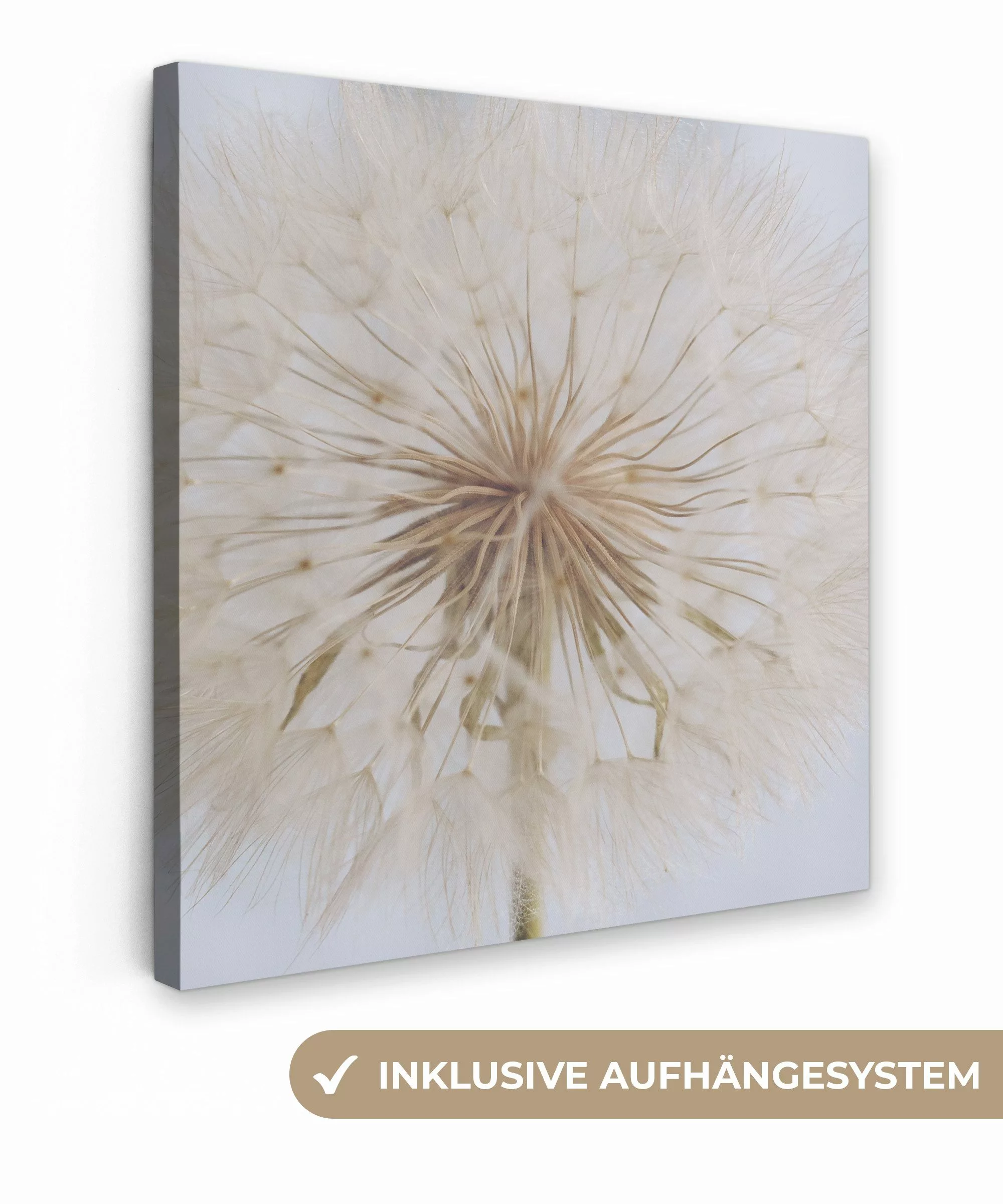 OneMillionCanvasses® Leinwandbild Blumen - Löwenzahn - günstig online kaufen