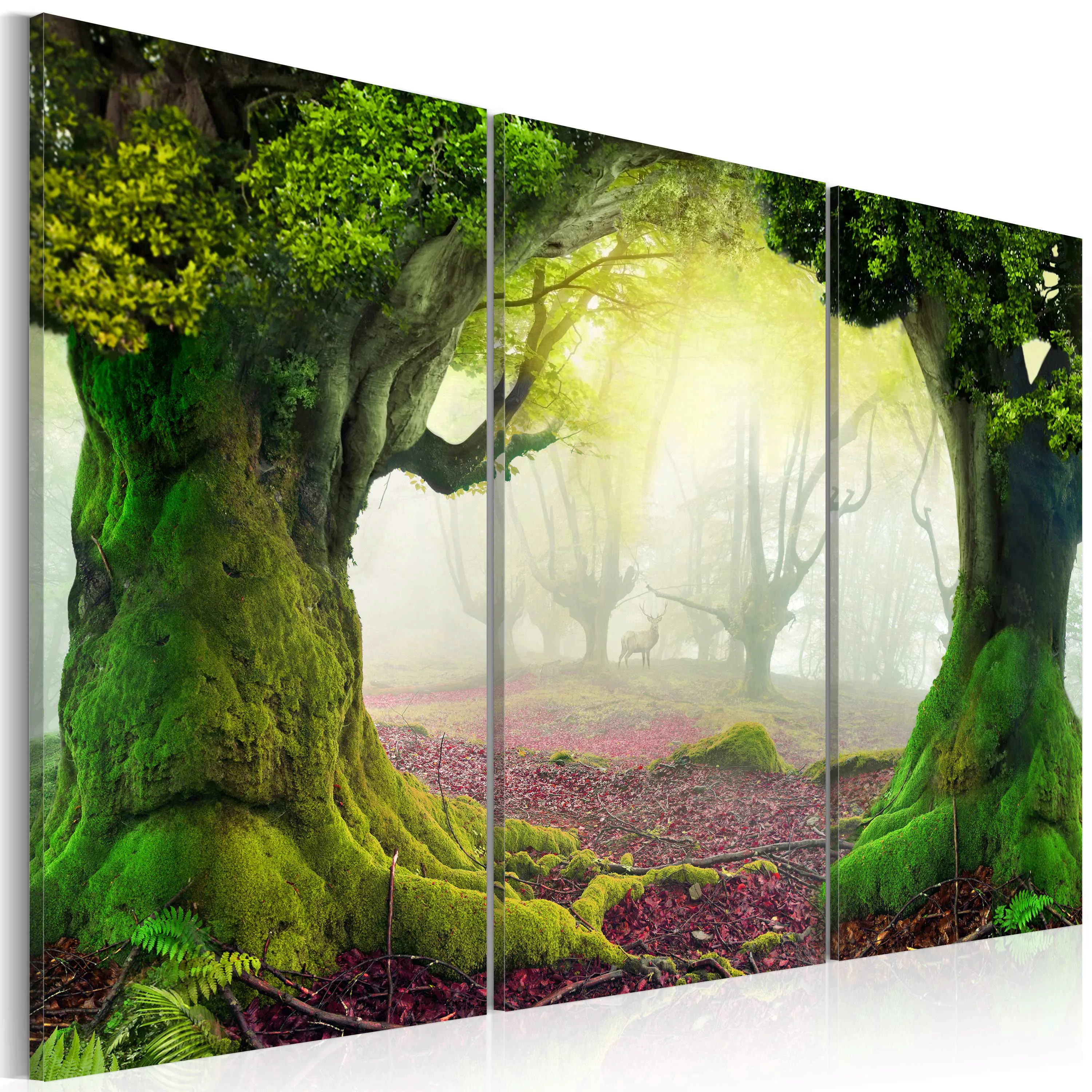 Wandbild - Mysterious forest - triptych günstig online kaufen