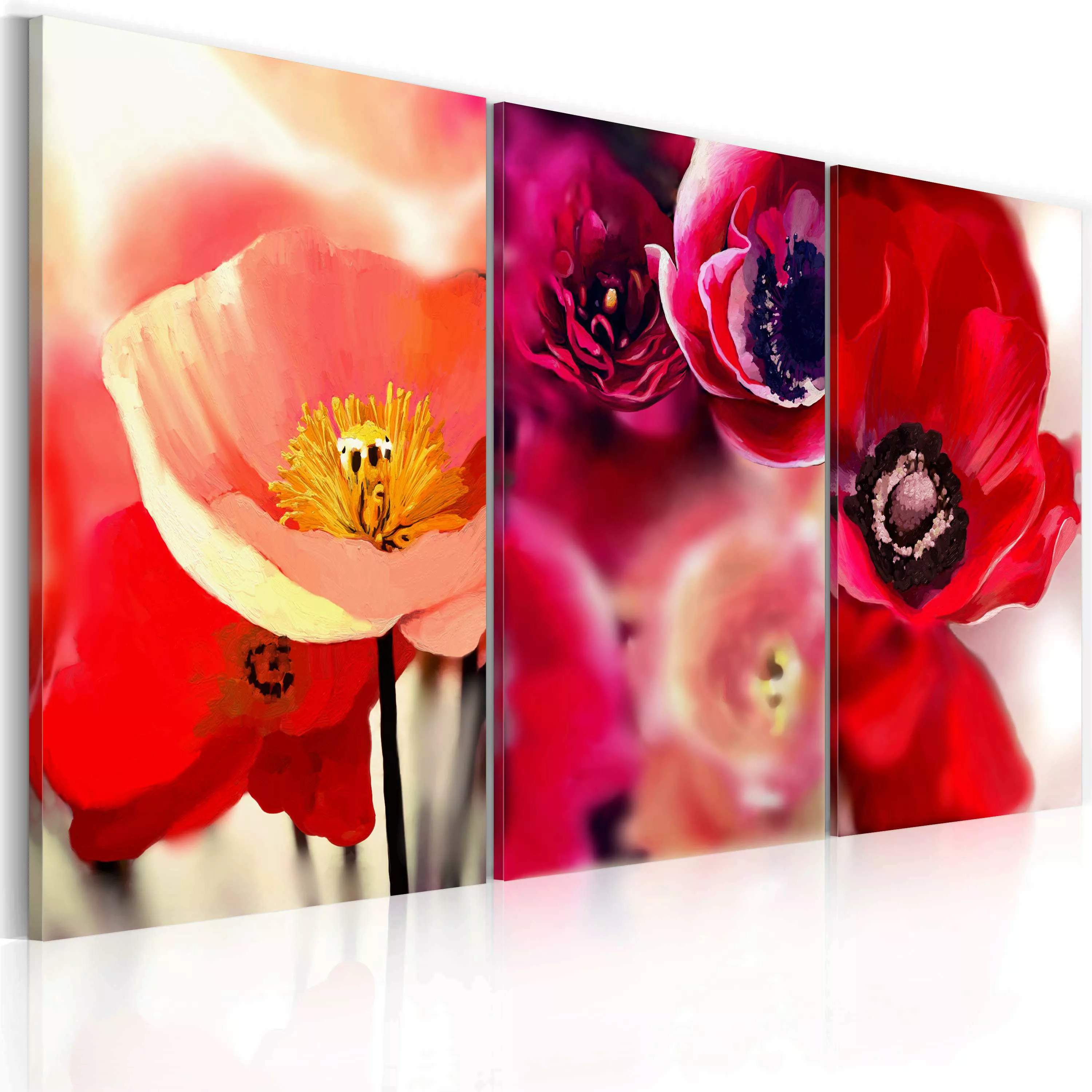 Wandbild - Mohnblumen - drei Perspektiven günstig online kaufen