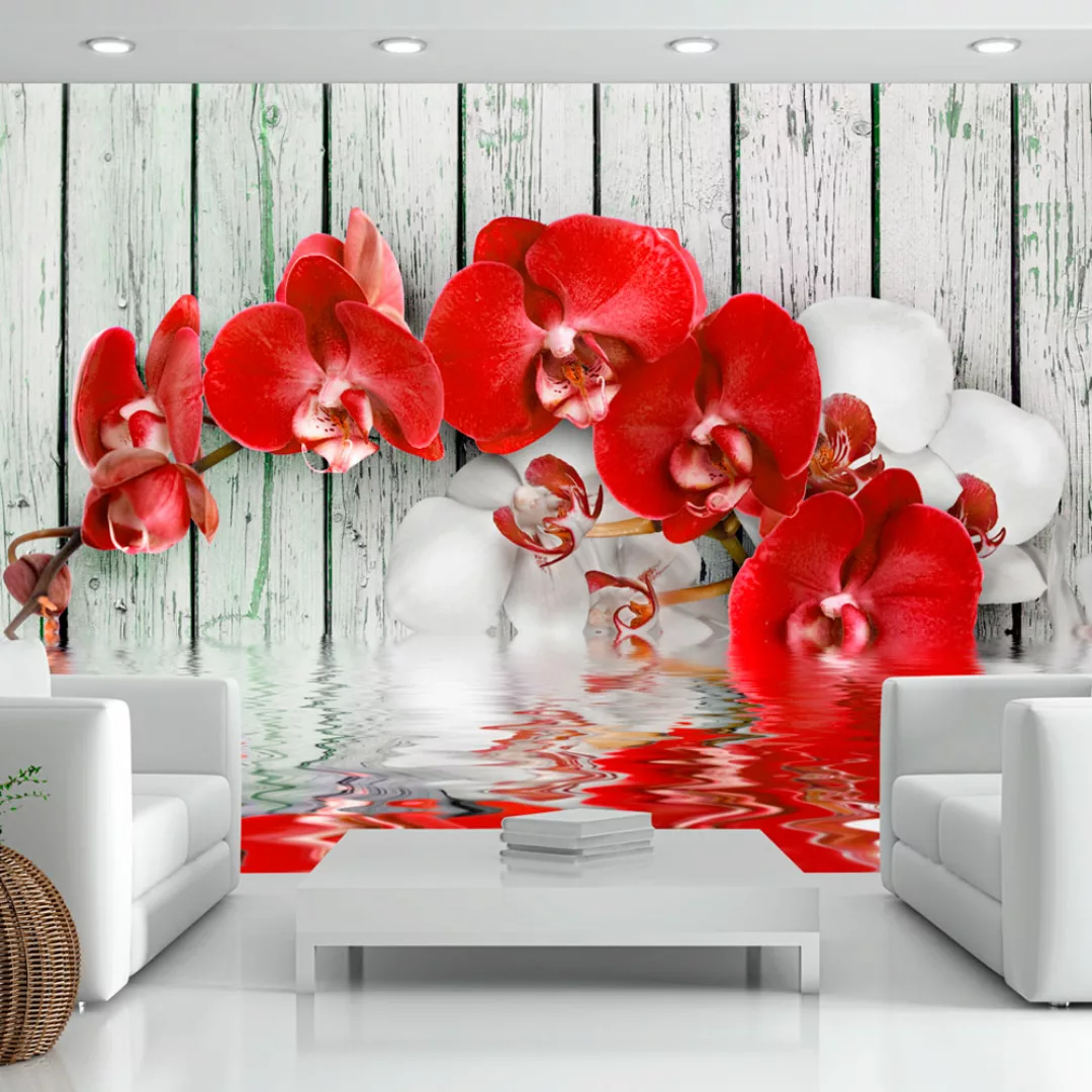 Fototapete - Ruby orchid günstig online kaufen