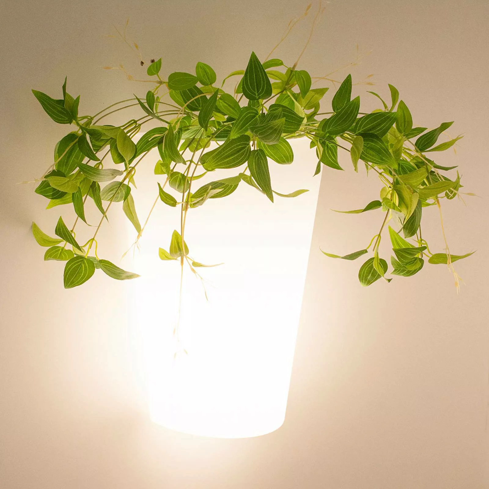 Außenwandlampe Teja - ein leuchtendes Pflanzgefäß günstig online kaufen