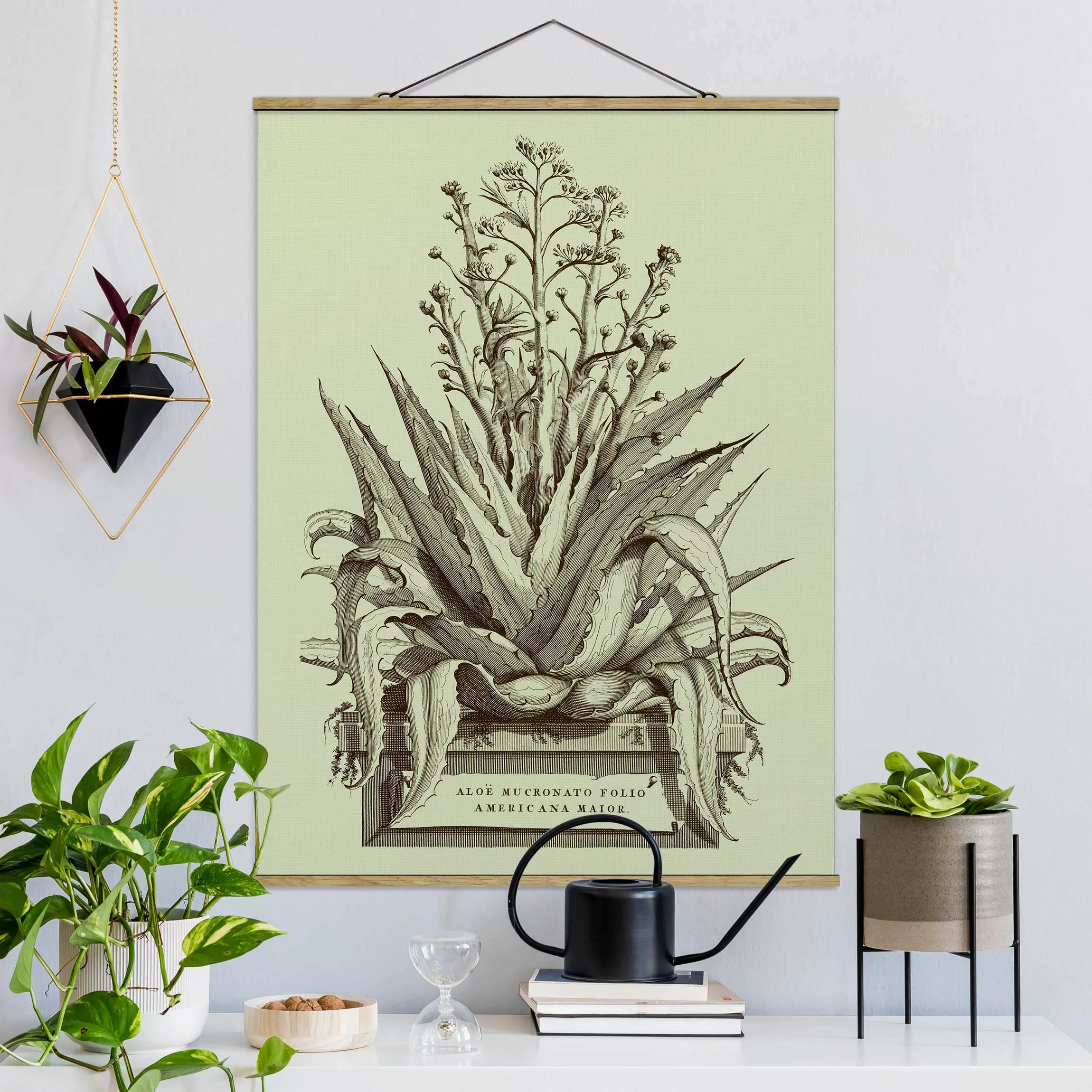 Stoffbild Blumen mit Posterleisten - Hochformat Vintage Aloe Vera Americana günstig online kaufen