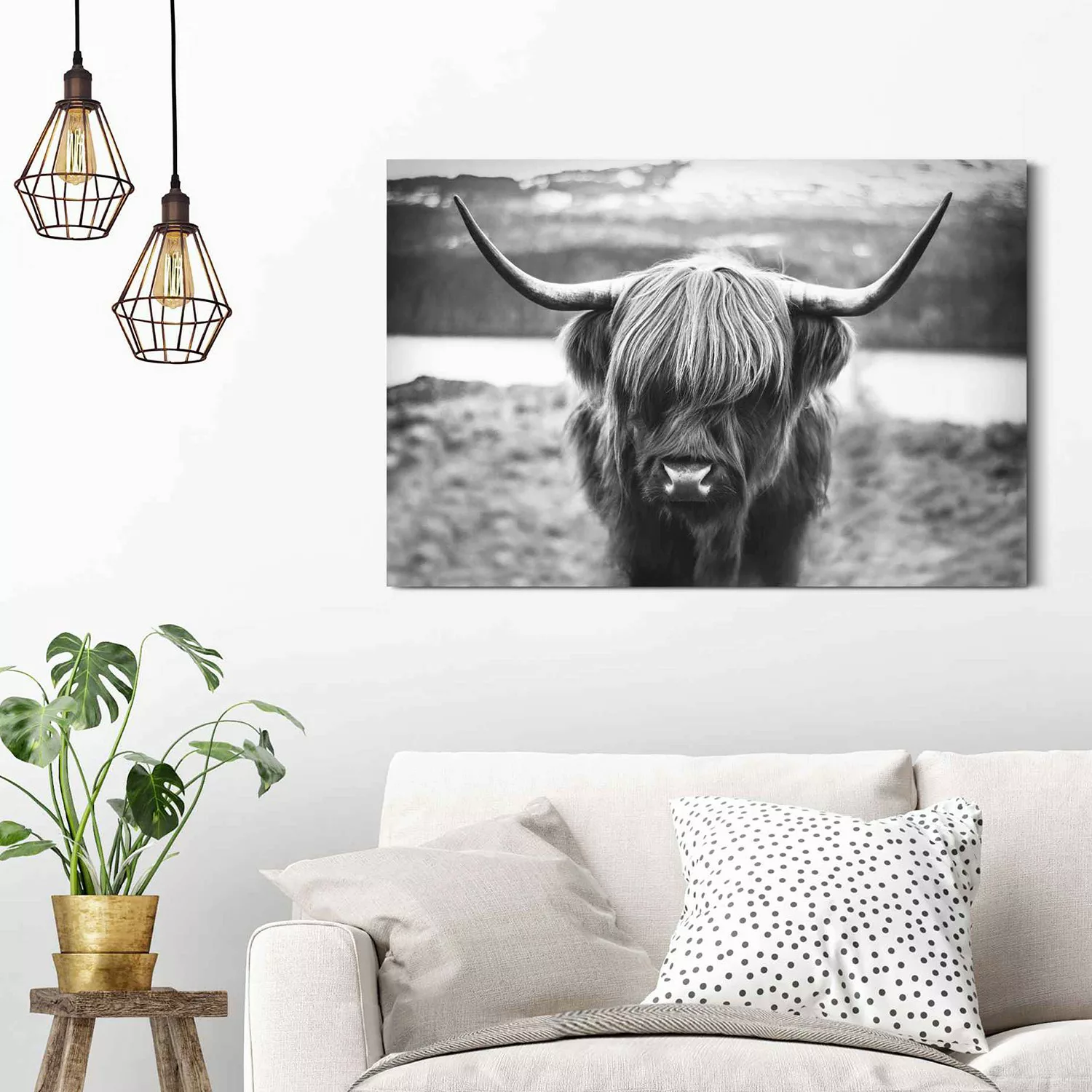 home24 Wandbild Schottische Hochlandrind Stier günstig online kaufen