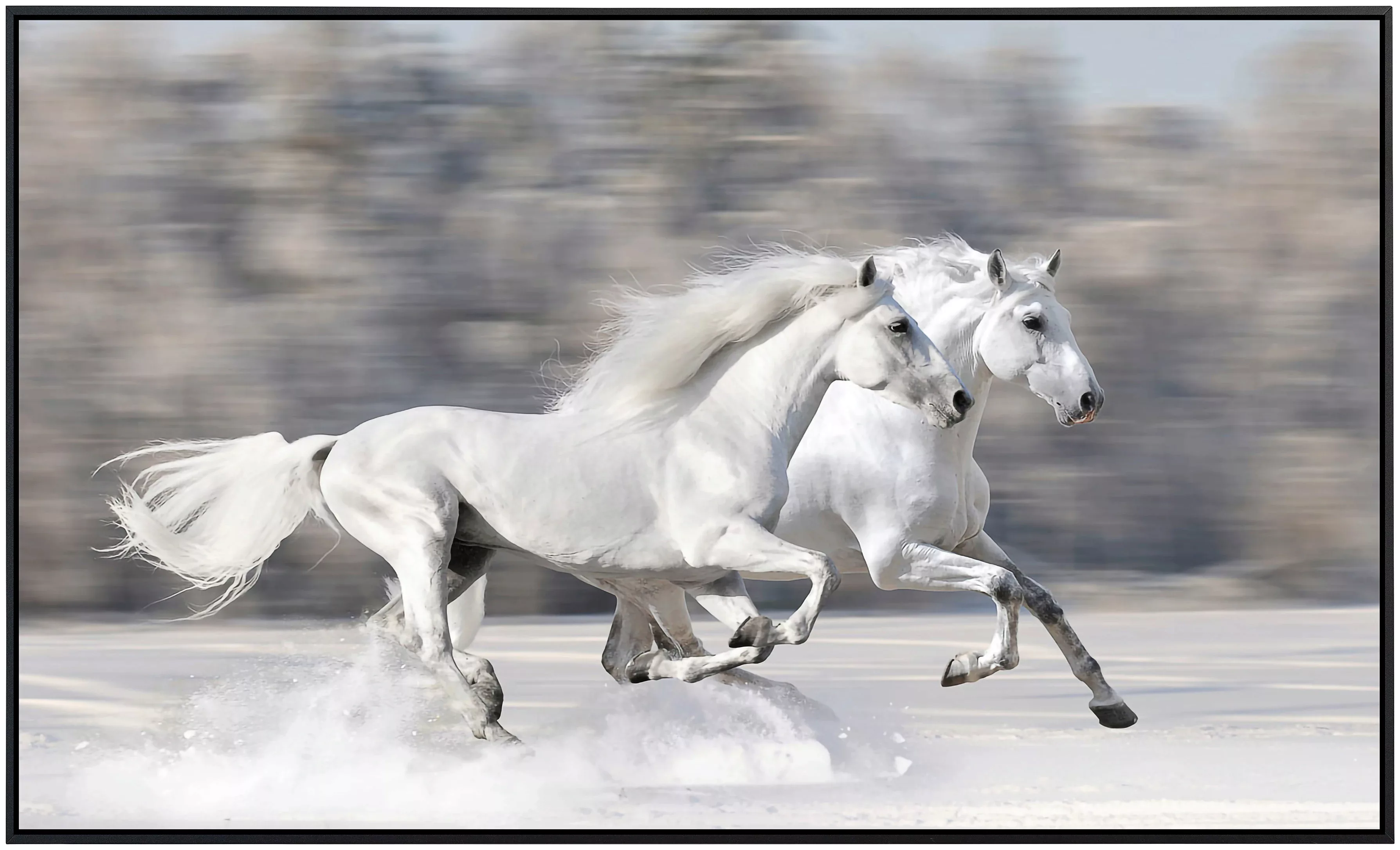 Papermoon Infrarotheizung »Weiße Pferde« günstig online kaufen