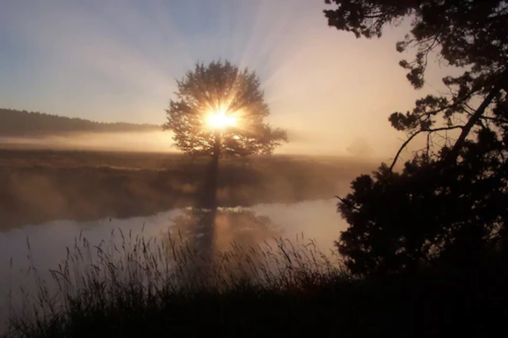 Papermoon Fototapete »Fluss Sonnenaufgang« günstig online kaufen