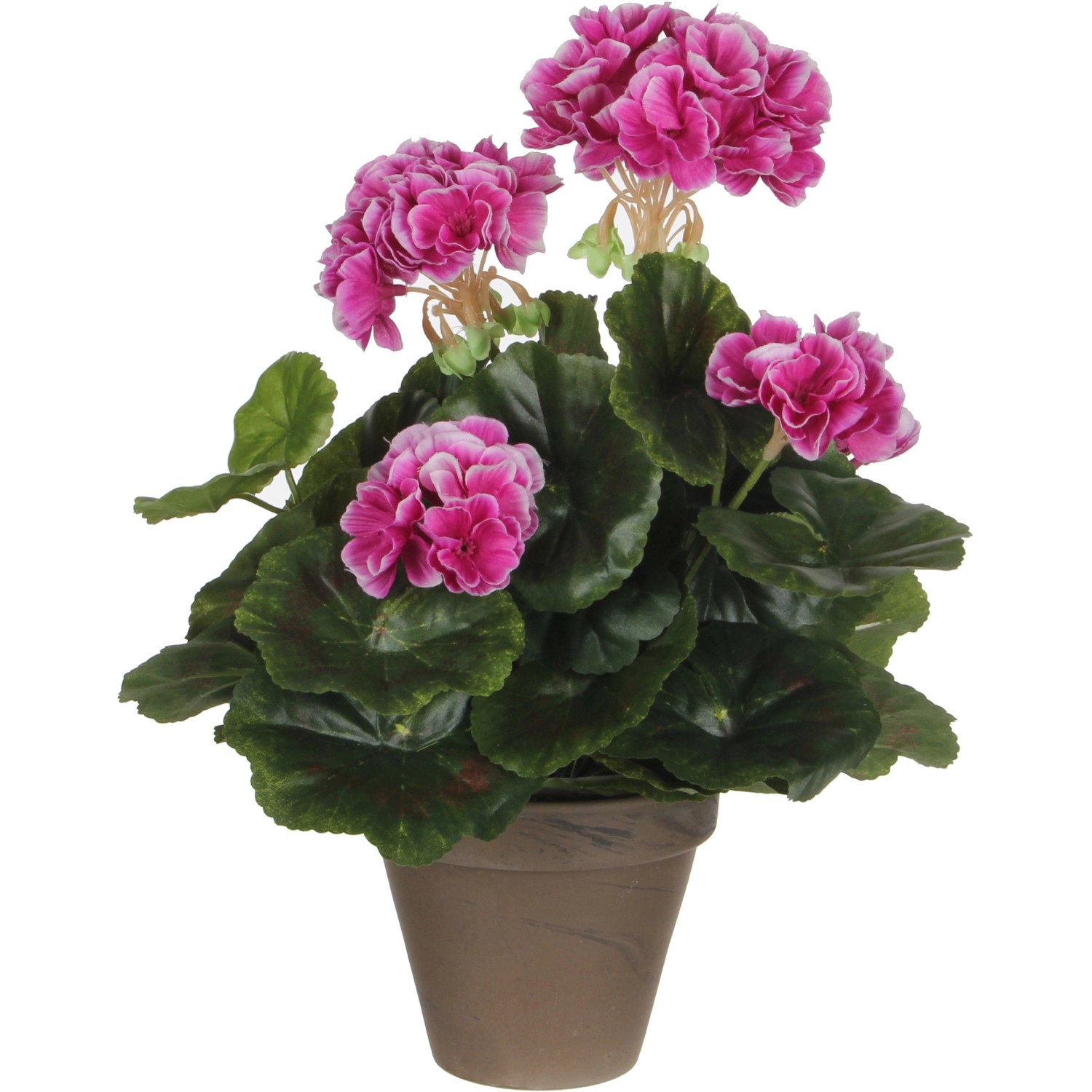 Mica Decorations Geranium Rosa-Weiß Höhe 34 cm Ø 20 cm im Topf Stan Grau günstig online kaufen