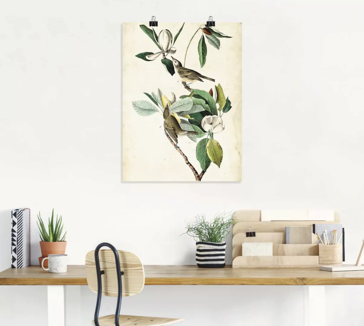 Artland Poster "Sängervireo", Vögel, (1 St.), als Alubild, Leinwandbild, Wa günstig online kaufen