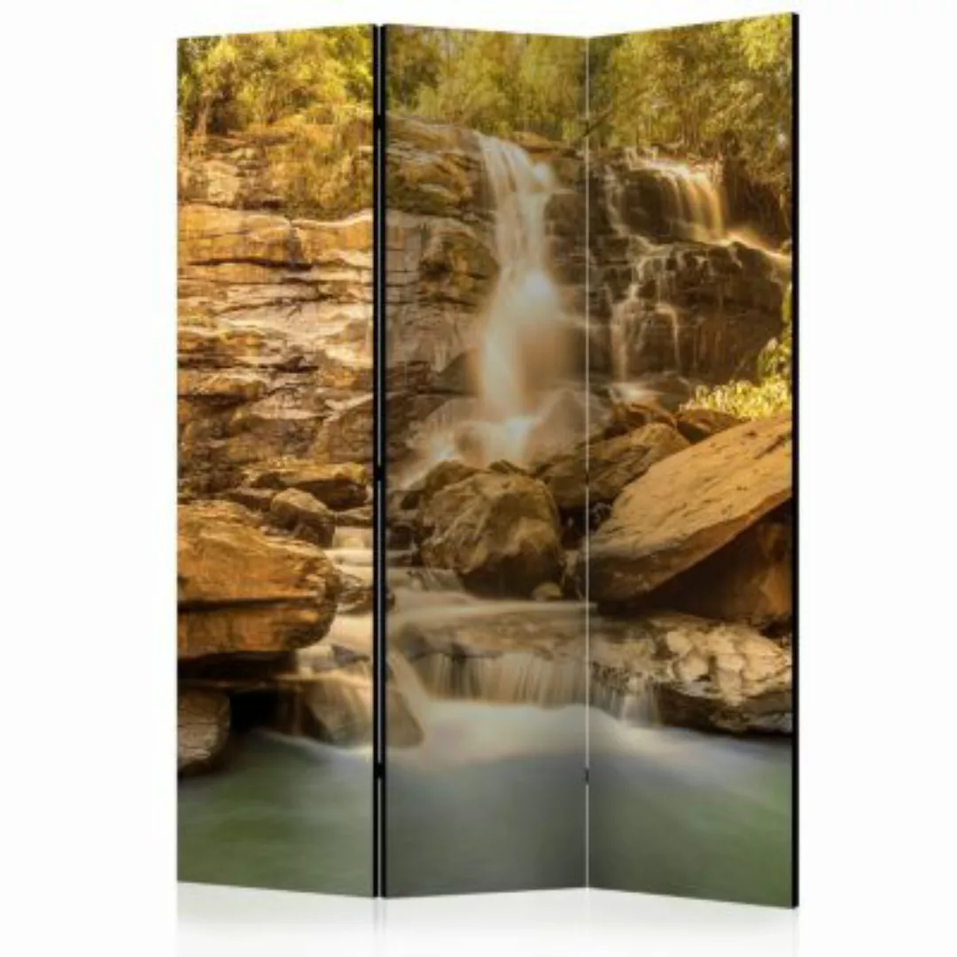 artgeist Paravent Sunny Waterfall [Room Dividers] mehrfarbig Gr. 135 x 172 günstig online kaufen