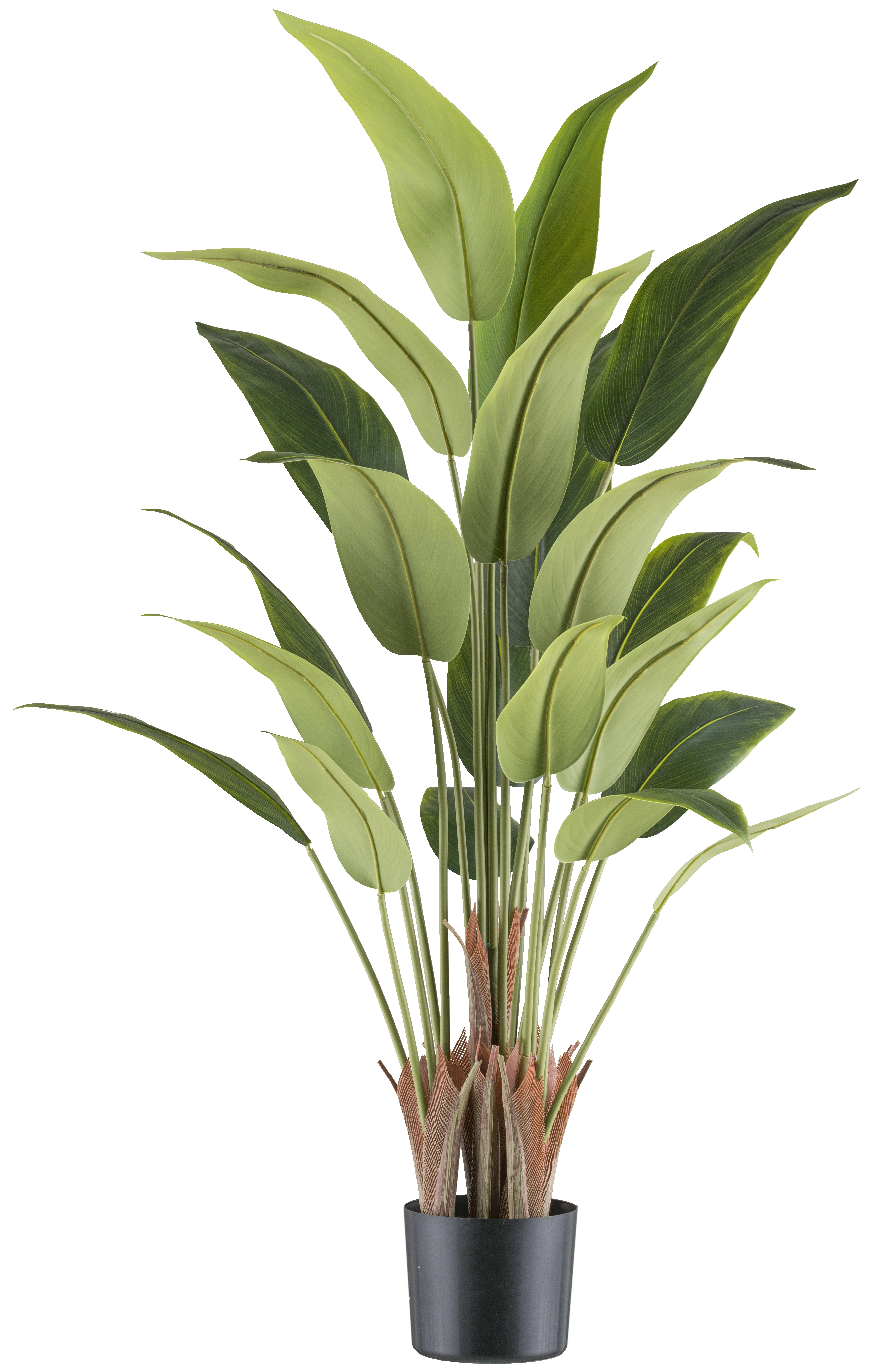 Creativ green Kunstpflanze "Strelitzia reginae", mit tollem Blattwerk günstig online kaufen