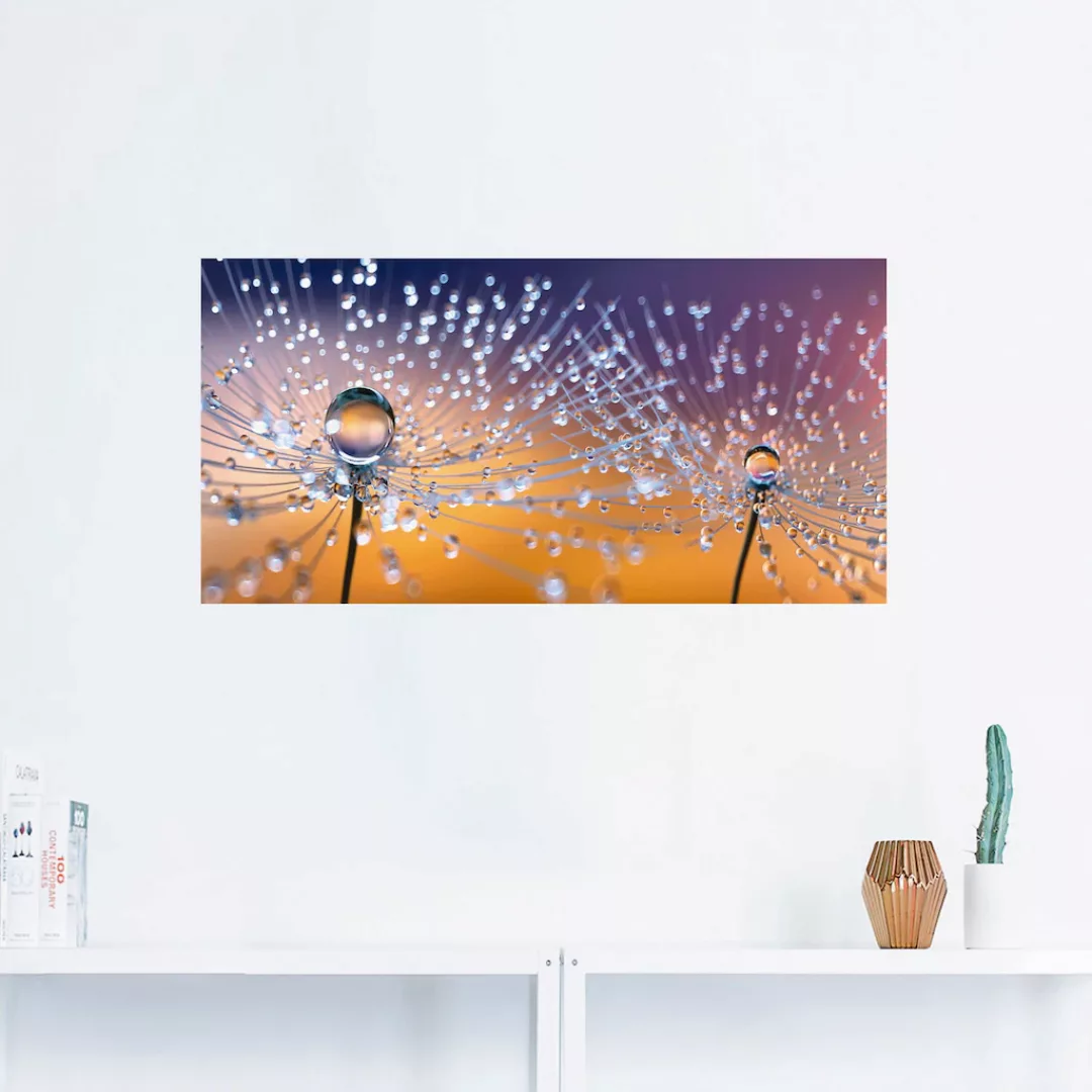 Artland Wandbild "Pusteblumen Tautropfen", Blumenbilder, (1 St.), als Alubi günstig online kaufen