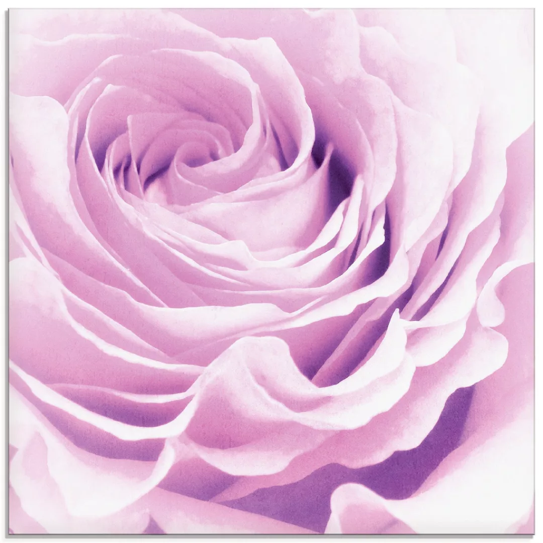 Artland Glasbild "Pastell Rose", Blumen, (1 St.) günstig online kaufen