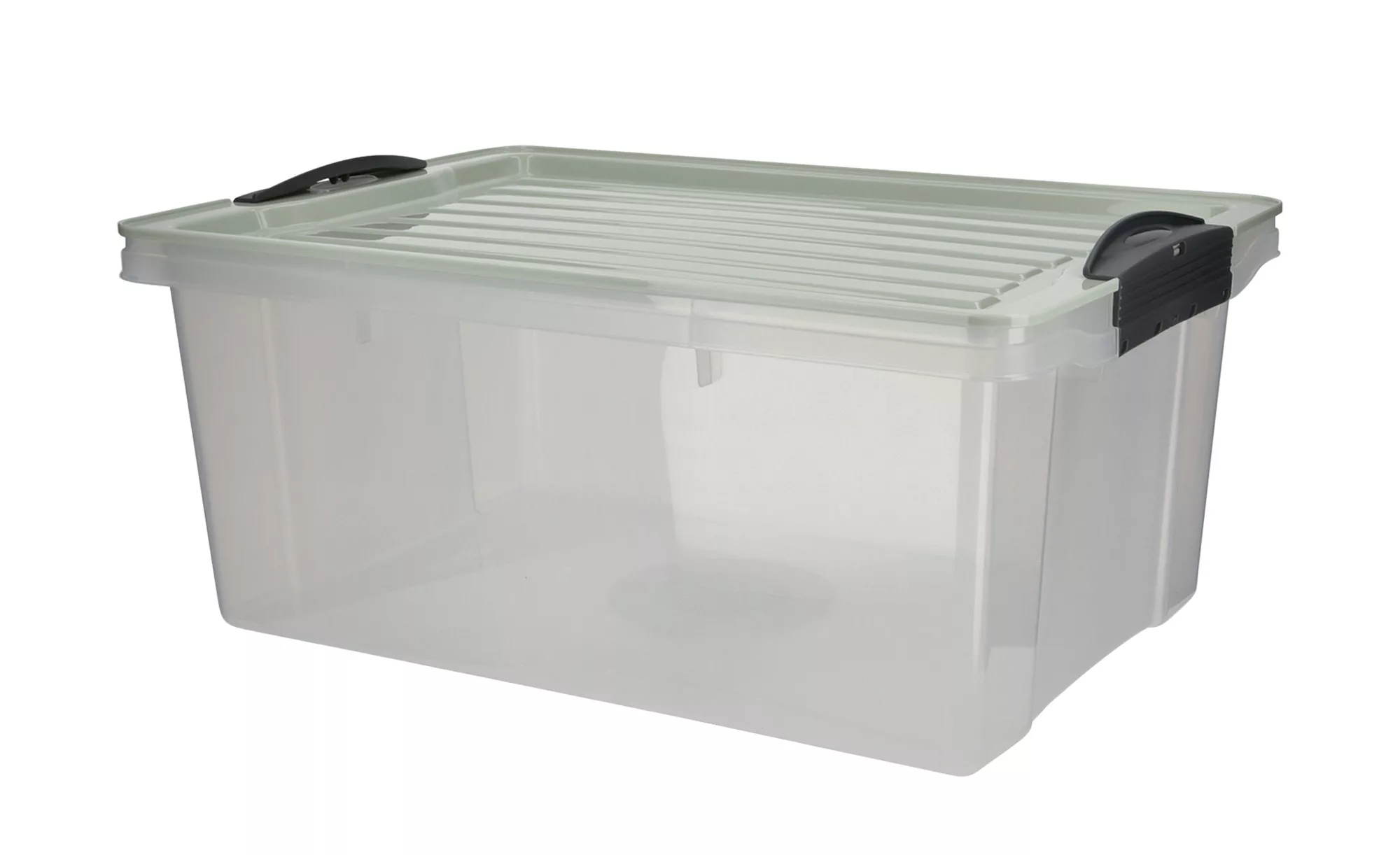Rotho Aufbewahrungsbox mit Deckel - grün - Kunststoff - 27,5 cm - 18 cm - A günstig online kaufen