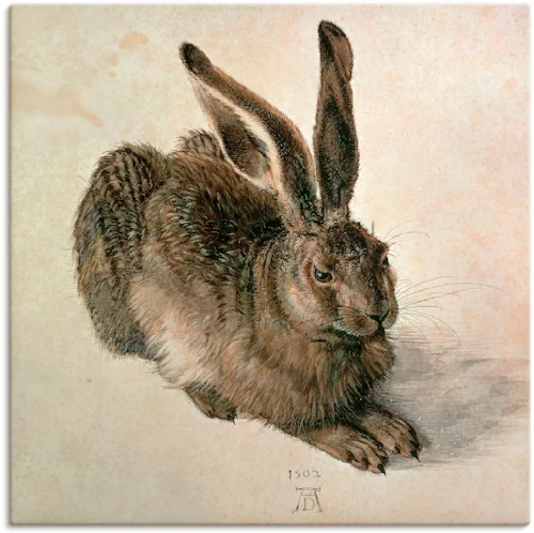 Artland Wandbild "Junger Feldhase. 1502", Wildtiere, (1 St.), als Leinwandb günstig online kaufen