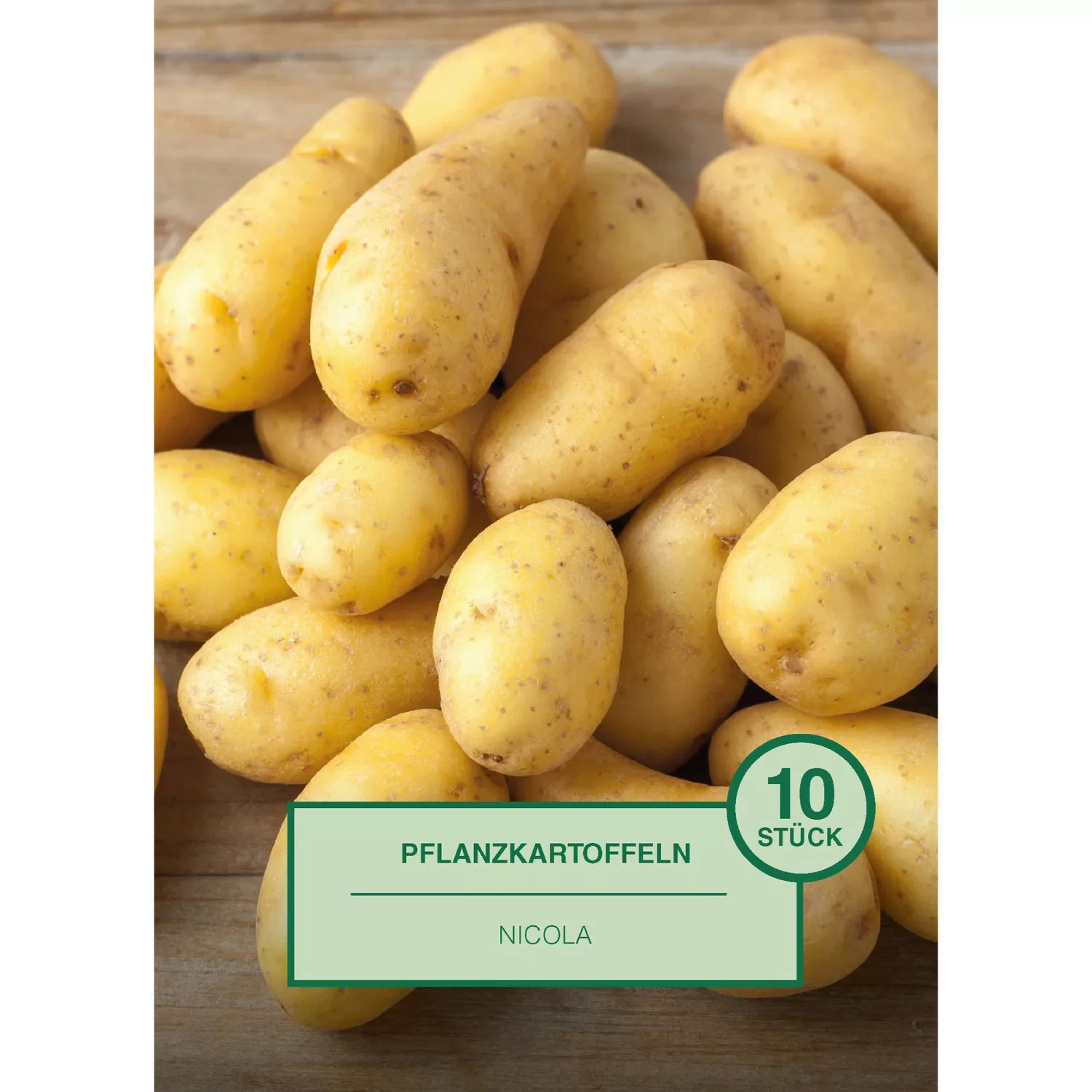 Pflanzkartoffel 10 Stück Solanum tuberosum Nicola günstig online kaufen