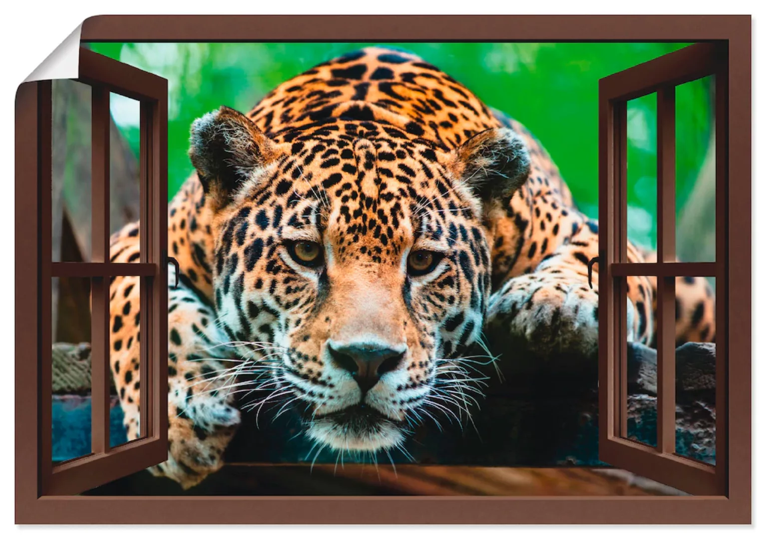 Artland Poster "Fensterblick - Südamerikanischer Jaguar", Wildtiere, (1 St. günstig online kaufen