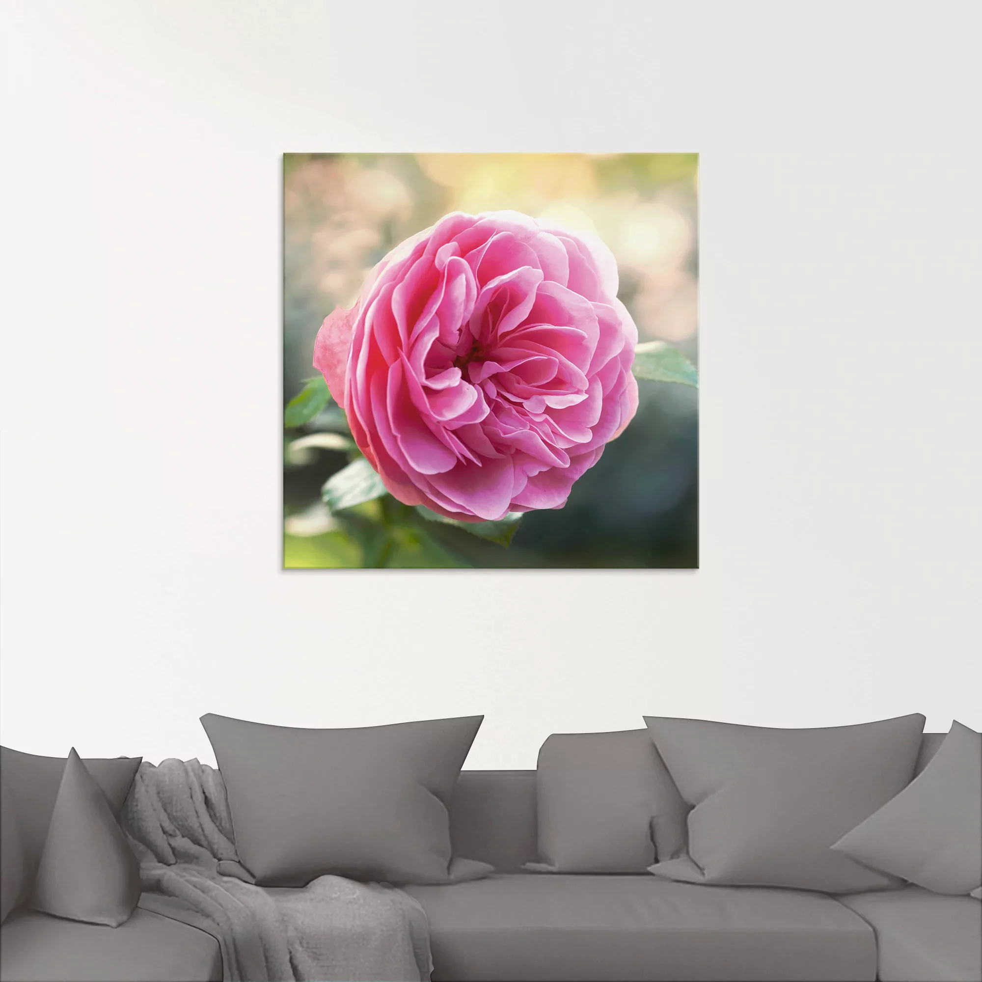 Artland Glasbild »Rosa Rose im Gegenlicht«, Blumen, (1 St.), in verschieden günstig online kaufen